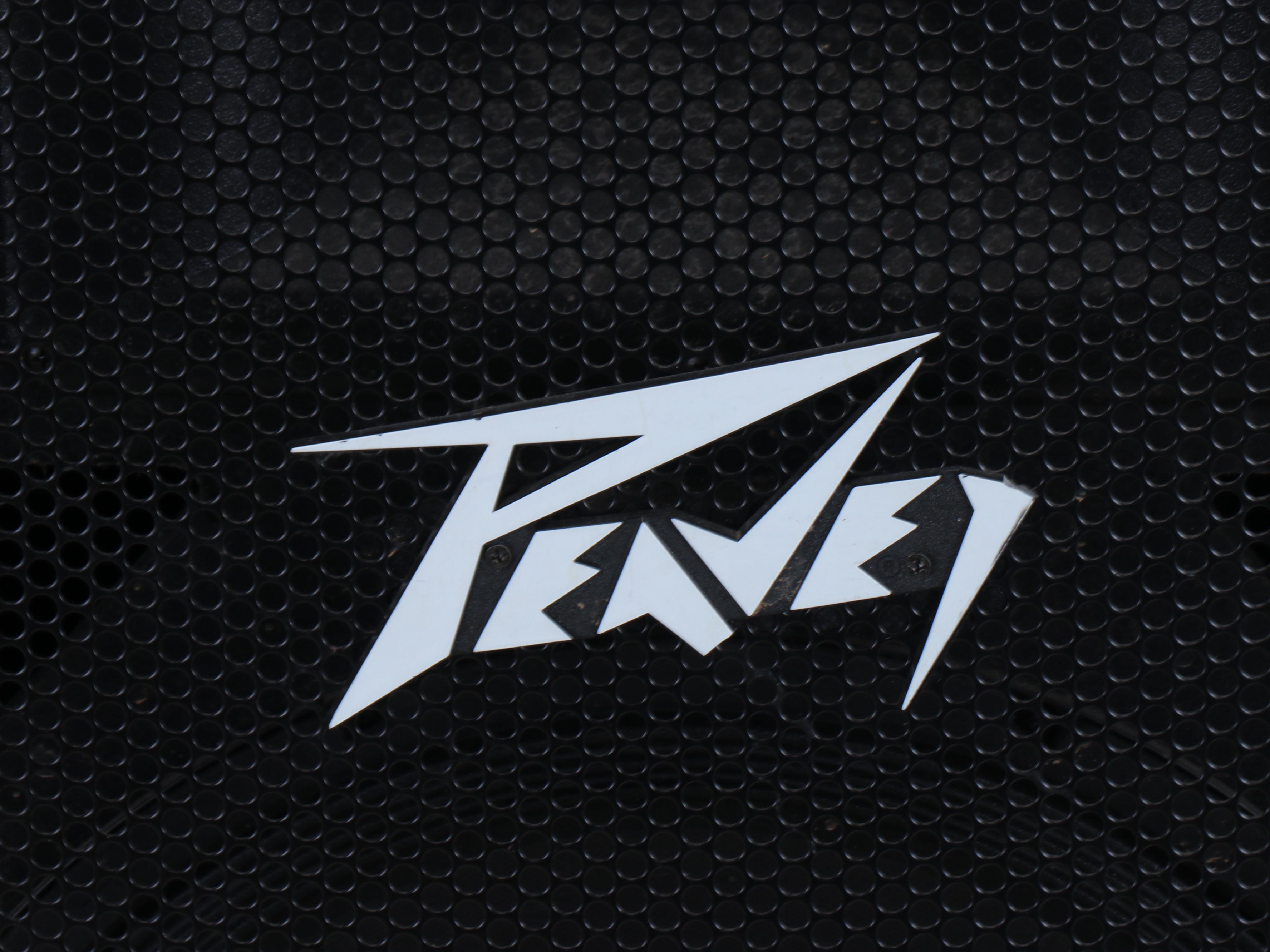 Peavey Floor Standing Speaker