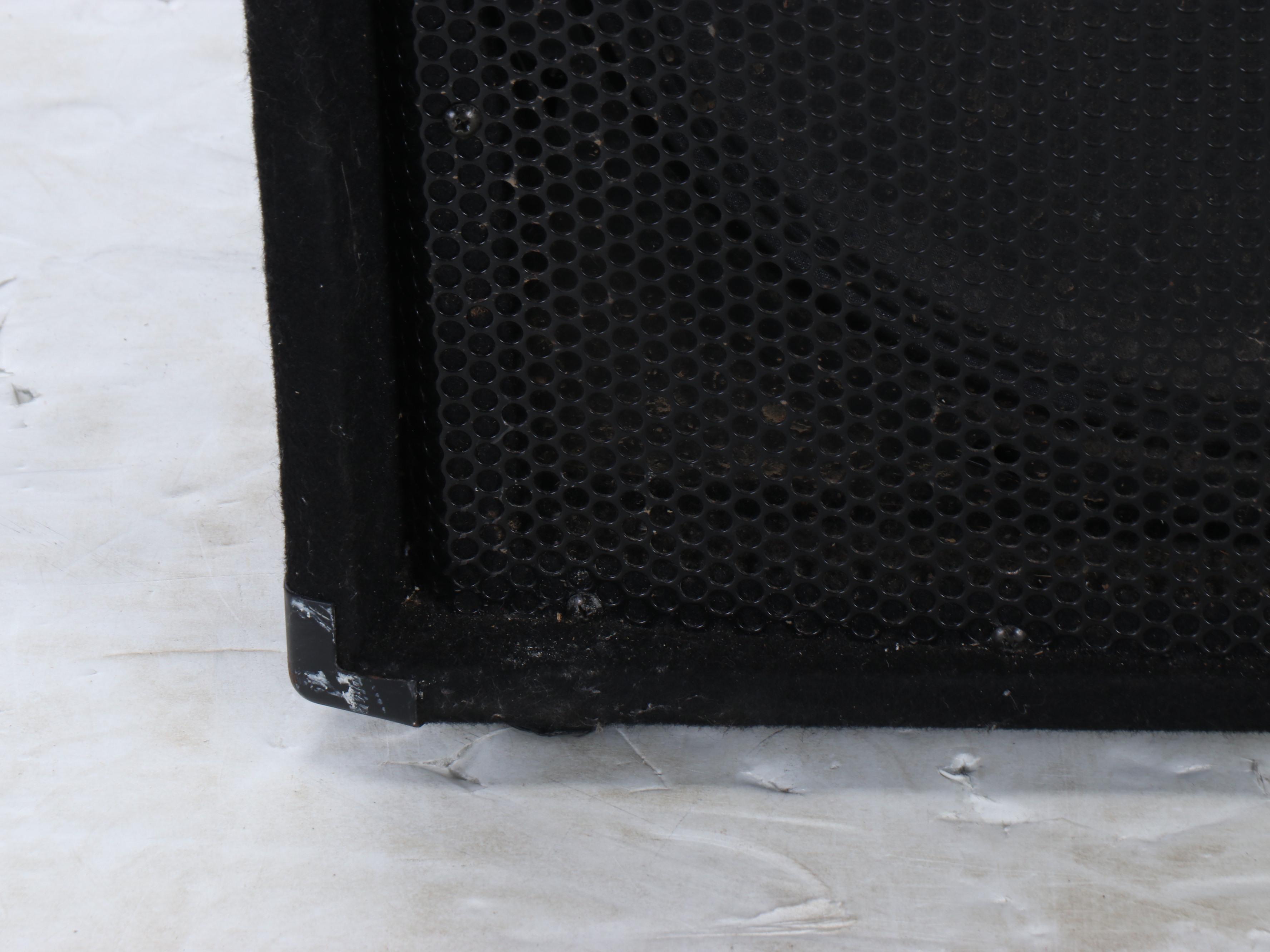 Peavey Floor Standing Speaker