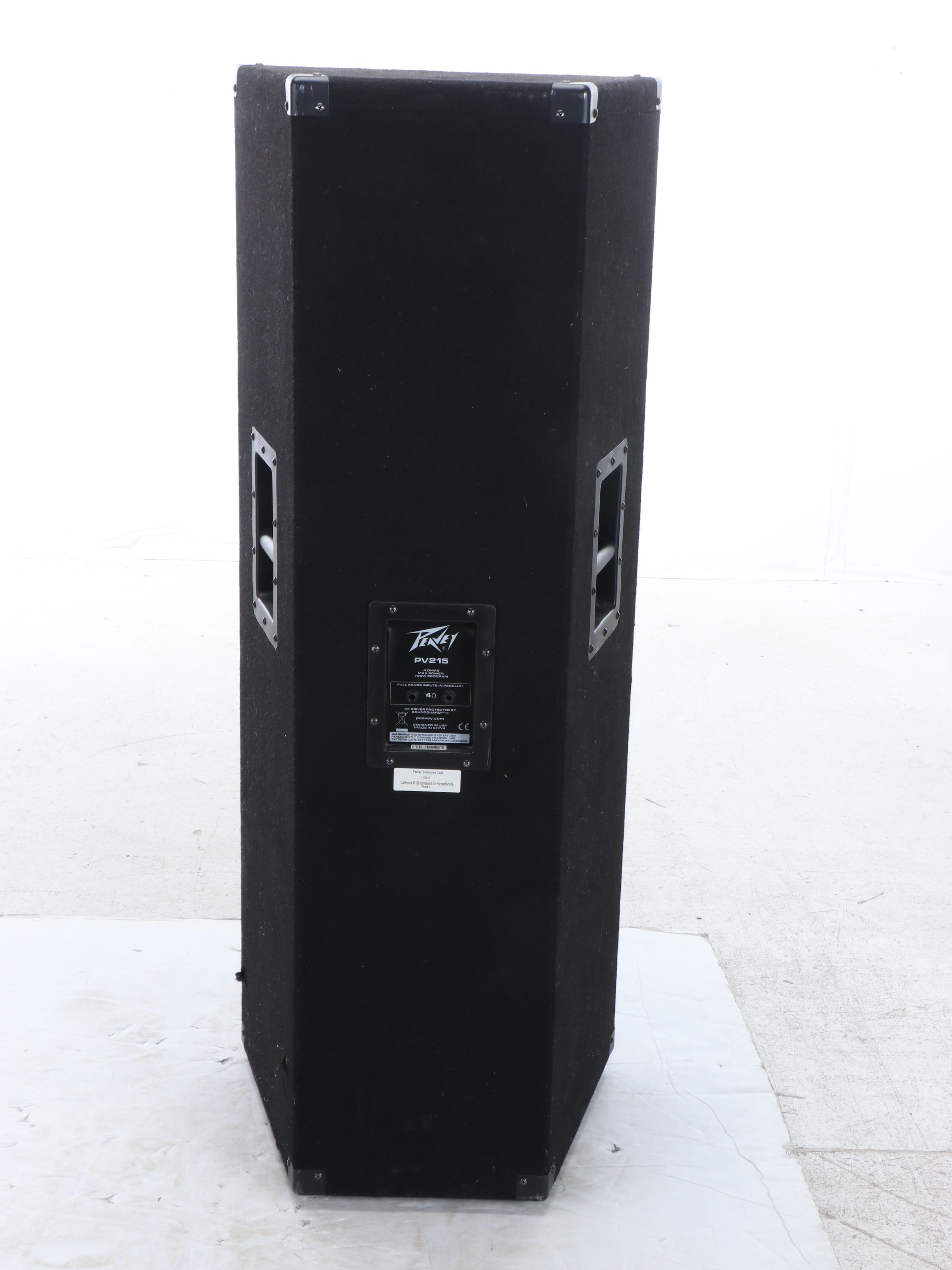 Peavey Floor Standing Speaker