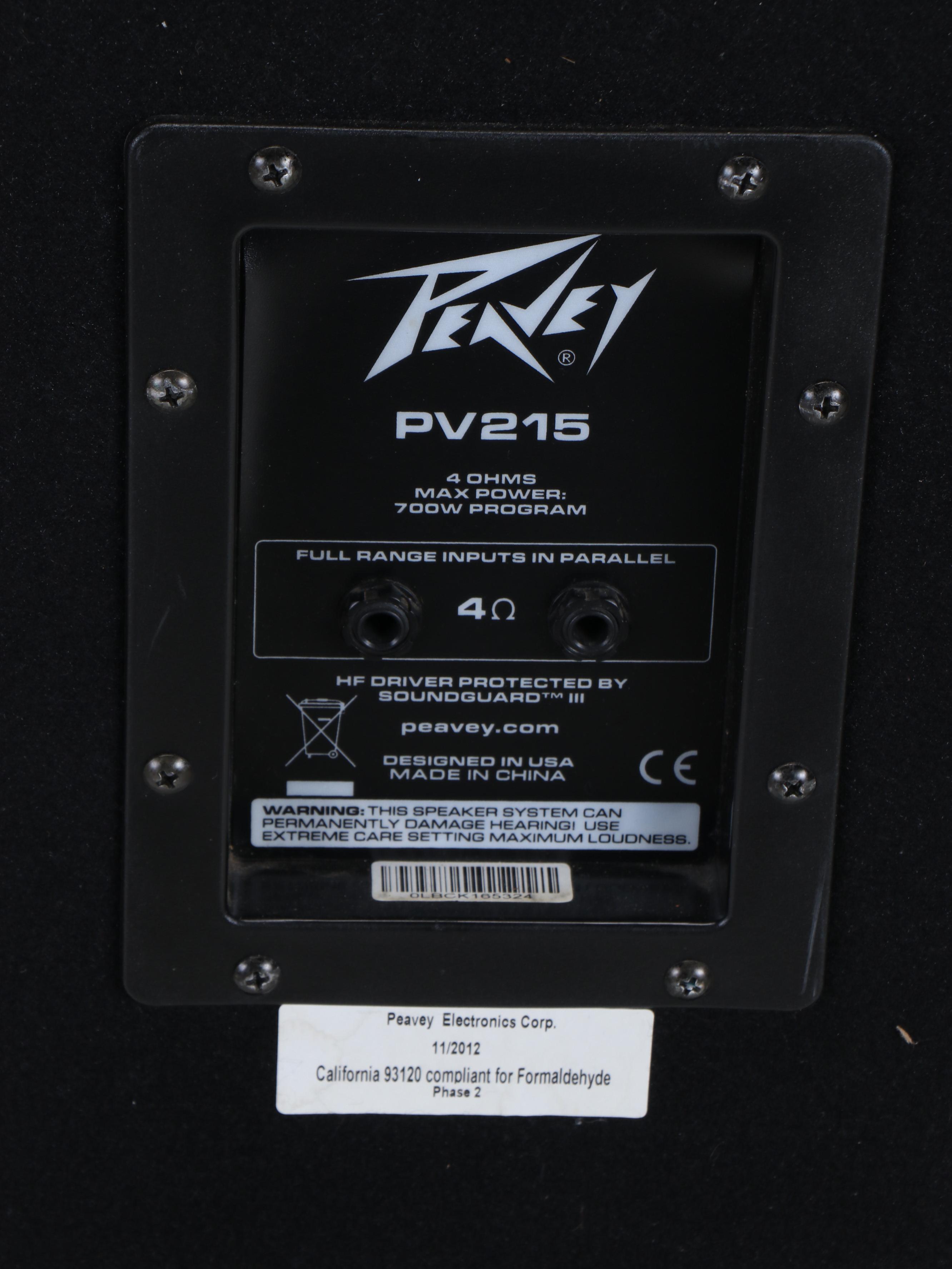 Peavey Floor Standing Speaker