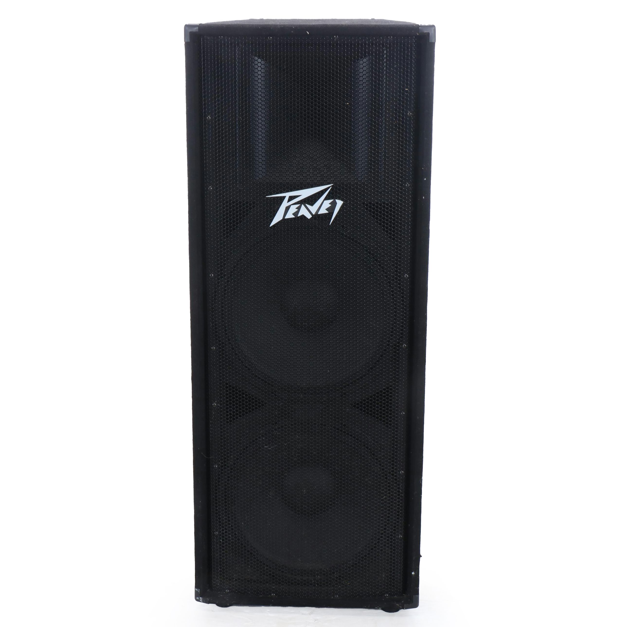 Peavey Floor Standing Speaker