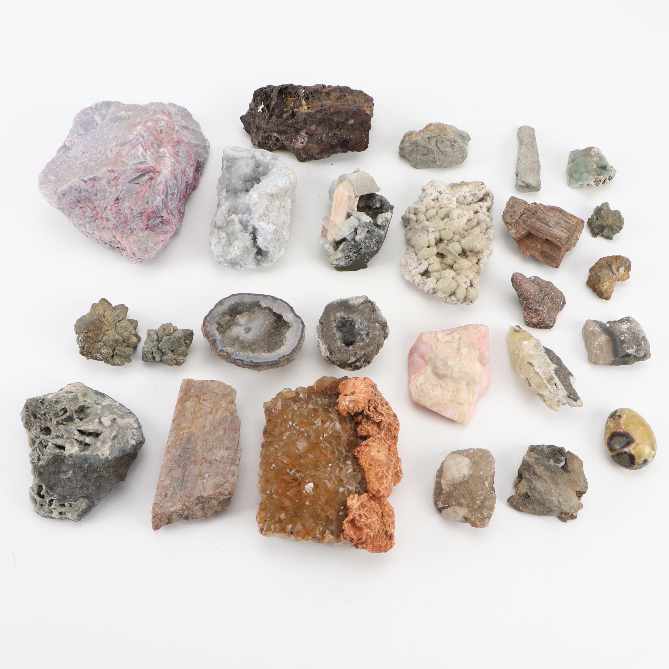 Septarian Nodule with Aragonite, Botryoidal Specimens, Petrified Wood, More