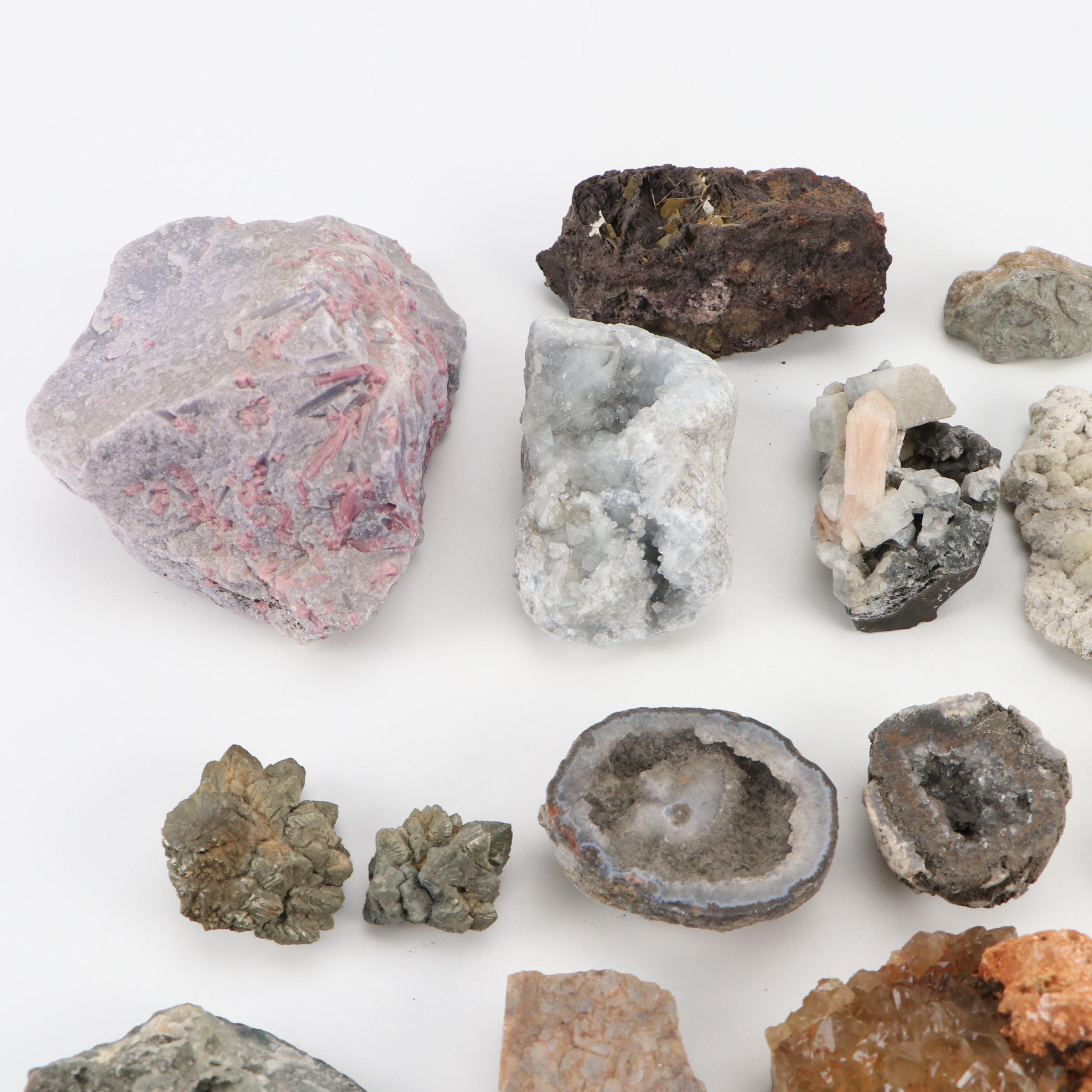 Septarian Nodule with Aragonite, Botryoidal Specimens, Petrified Wood, More