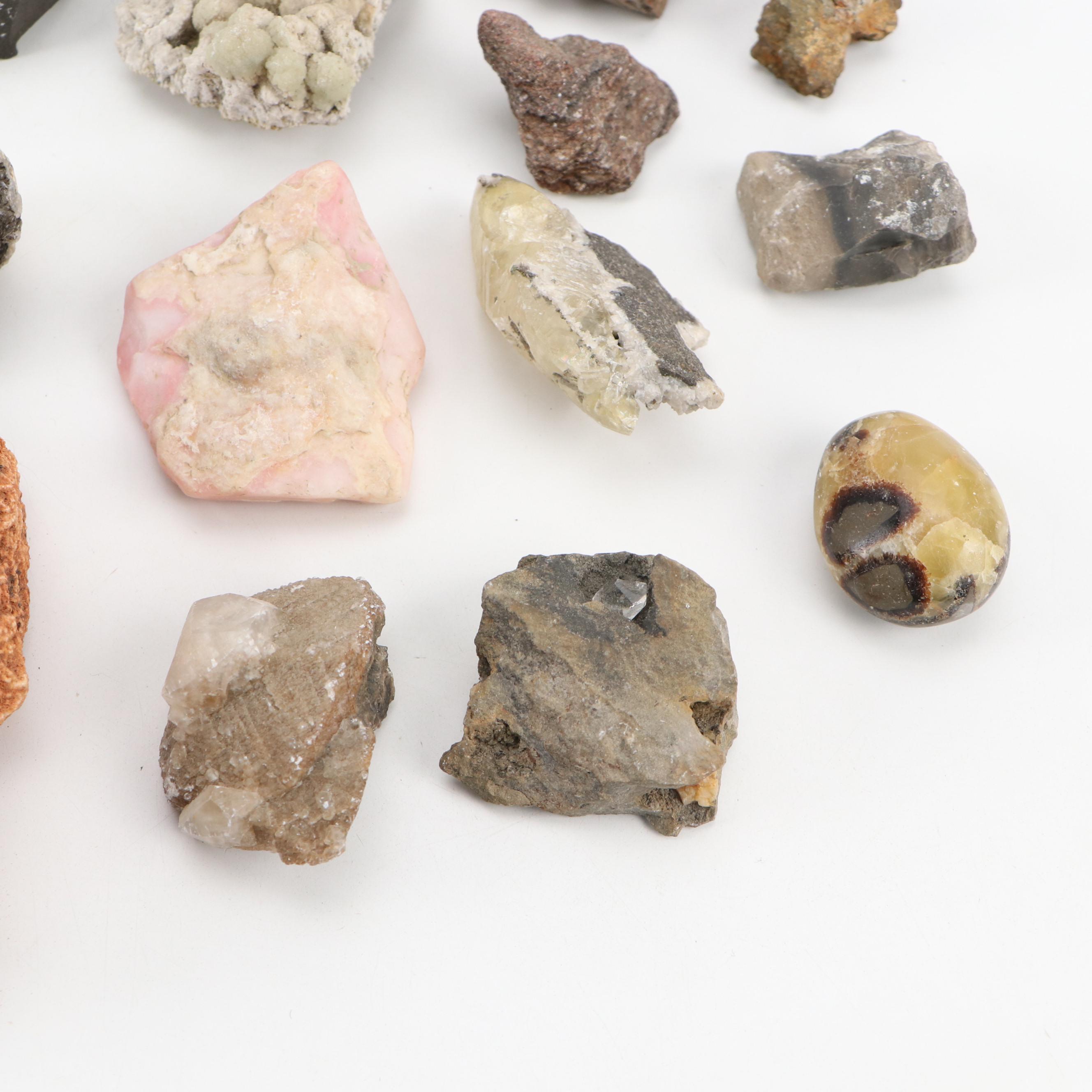 Septarian Nodule with Aragonite, Botryoidal Specimens, Petrified Wood, More