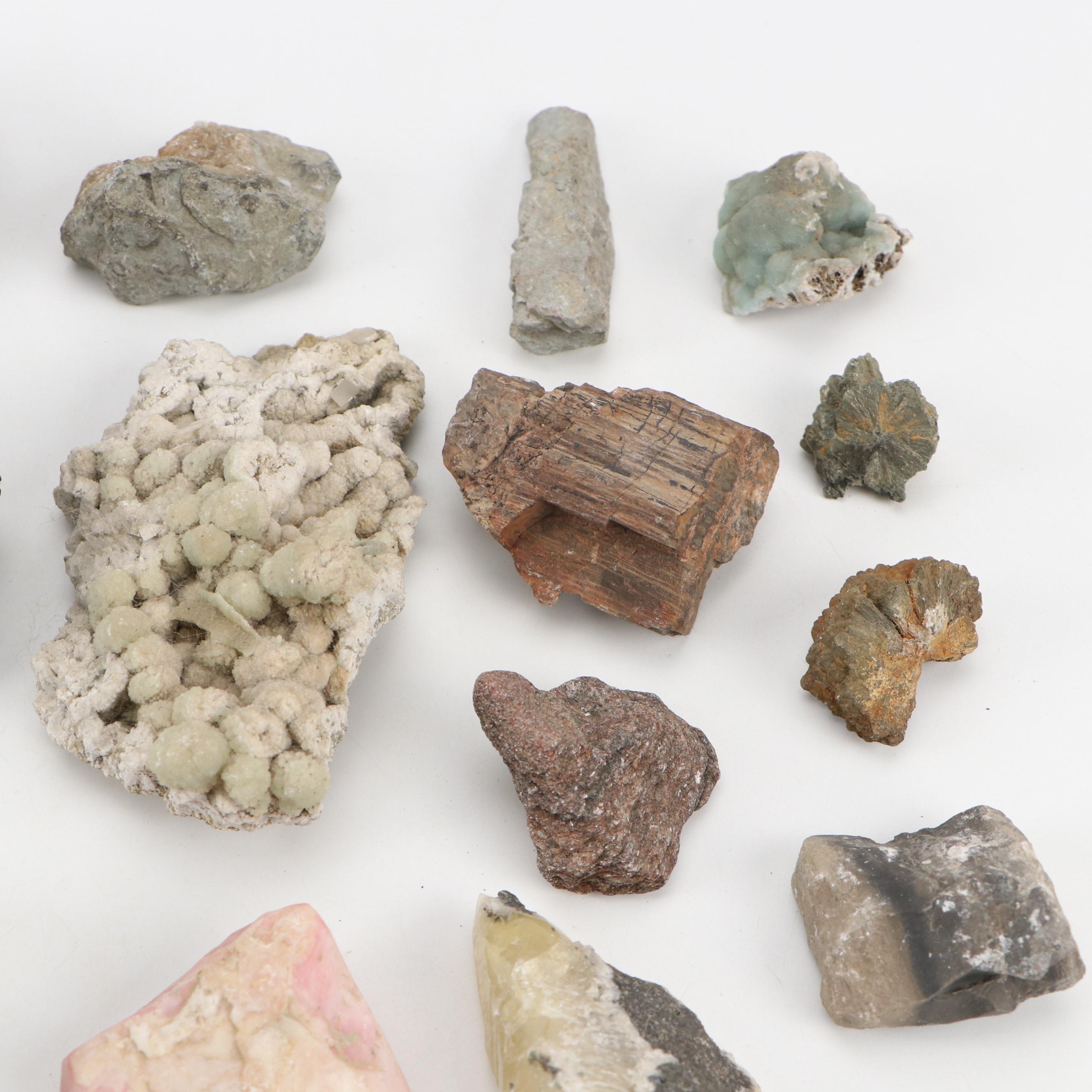 Septarian Nodule with Aragonite, Botryoidal Specimens, Petrified Wood, More