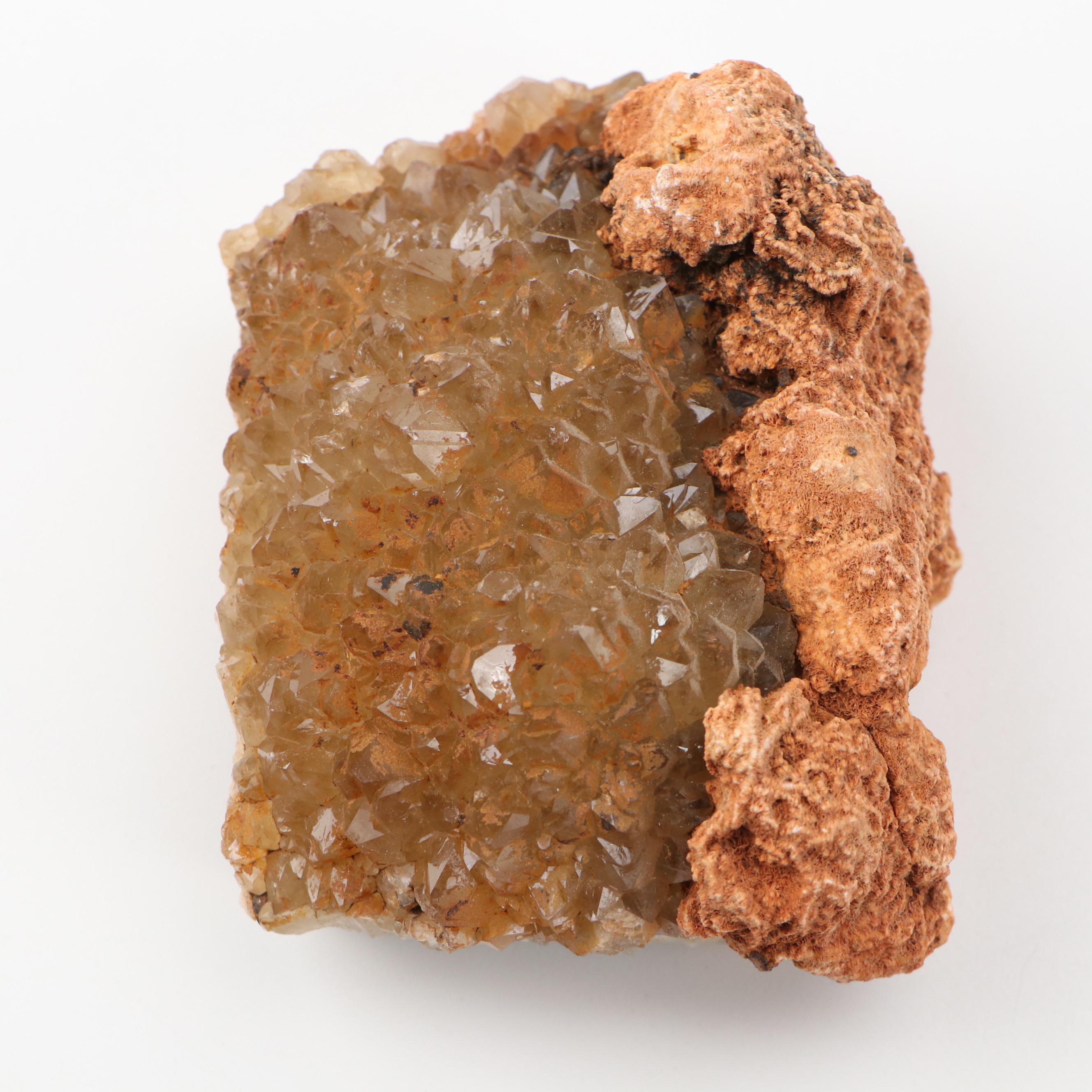 Septarian Nodule with Aragonite, Botryoidal Specimens, Petrified Wood, More