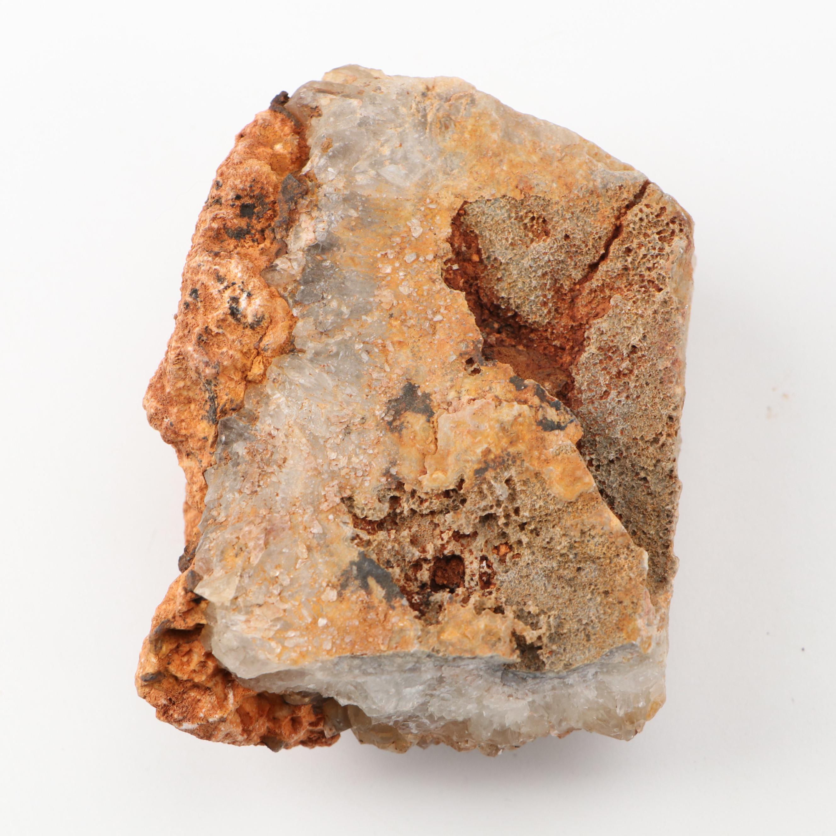 Septarian Nodule with Aragonite, Botryoidal Specimens, Petrified Wood, More