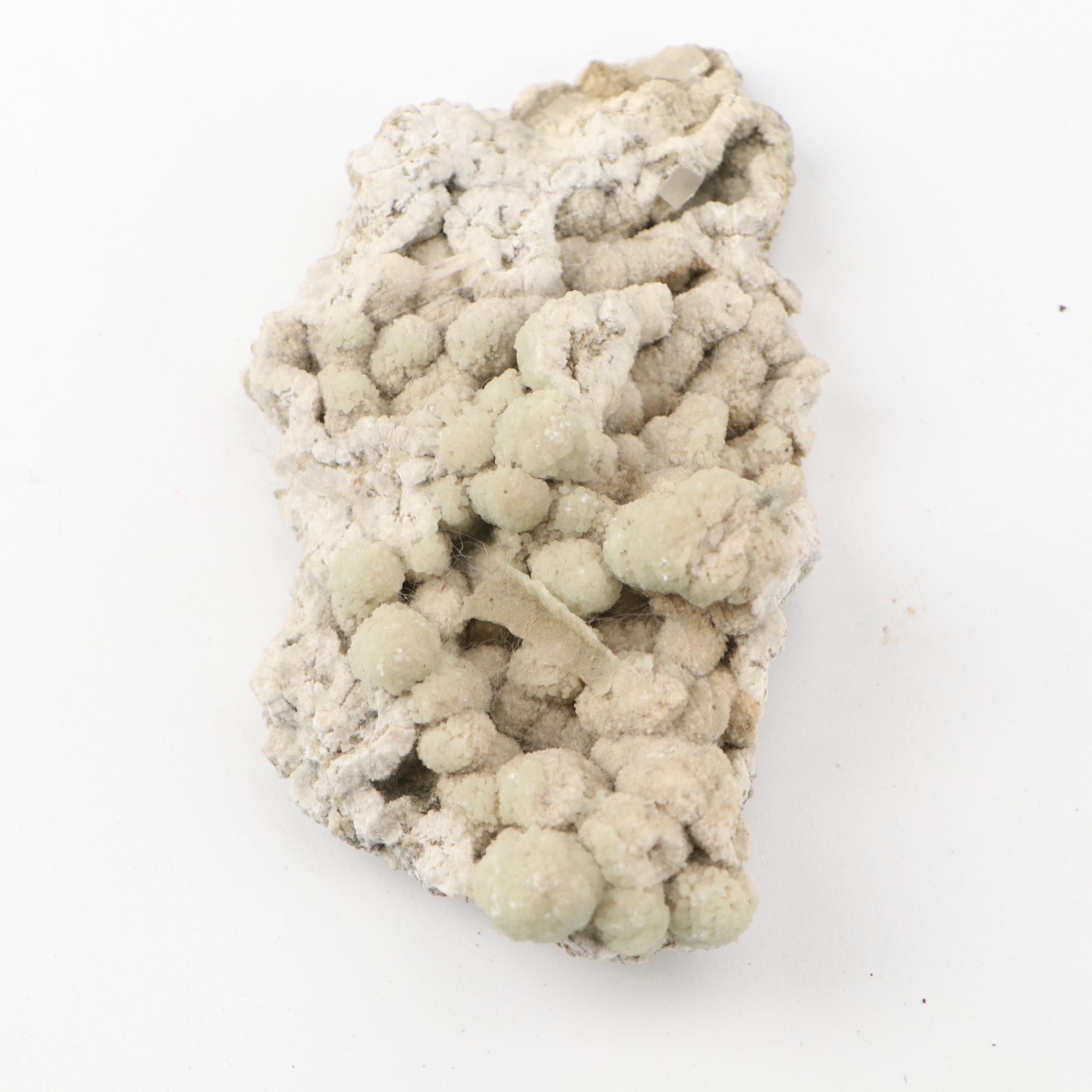 Septarian Nodule with Aragonite, Botryoidal Specimens, Petrified Wood, More