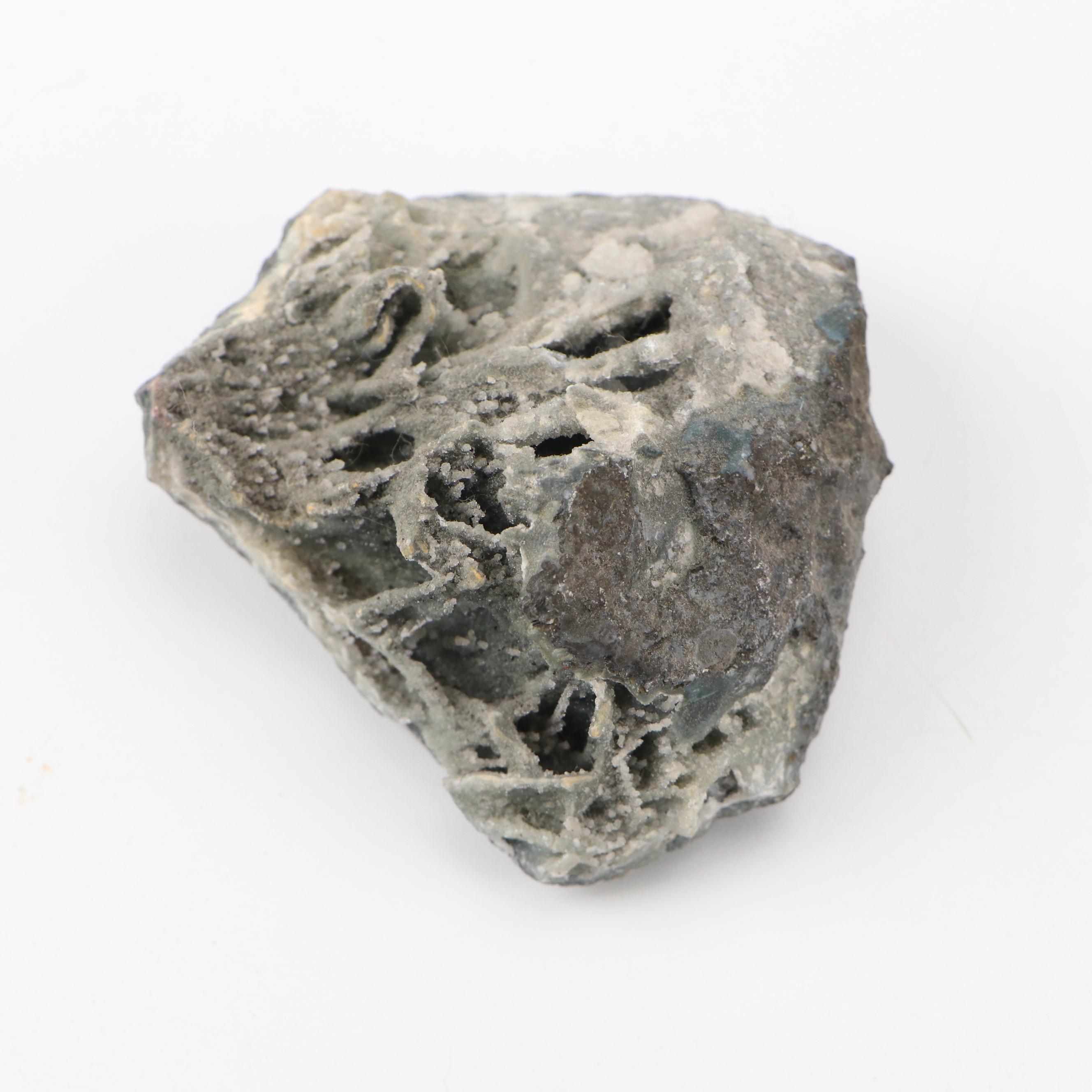 Septarian Nodule with Aragonite, Botryoidal Specimens, Petrified Wood, More