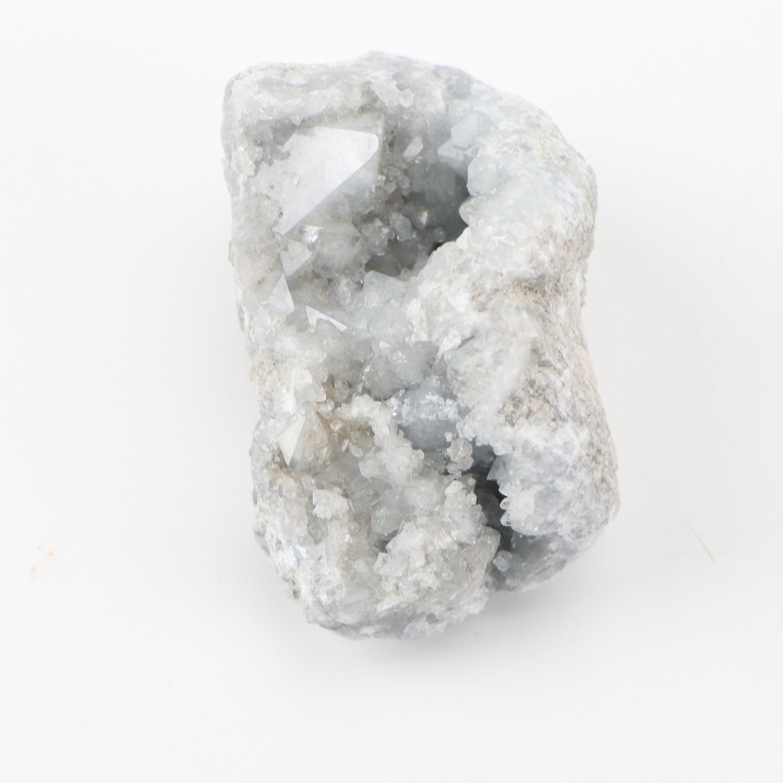 Septarian Nodule with Aragonite, Botryoidal Specimens, Petrified Wood, More