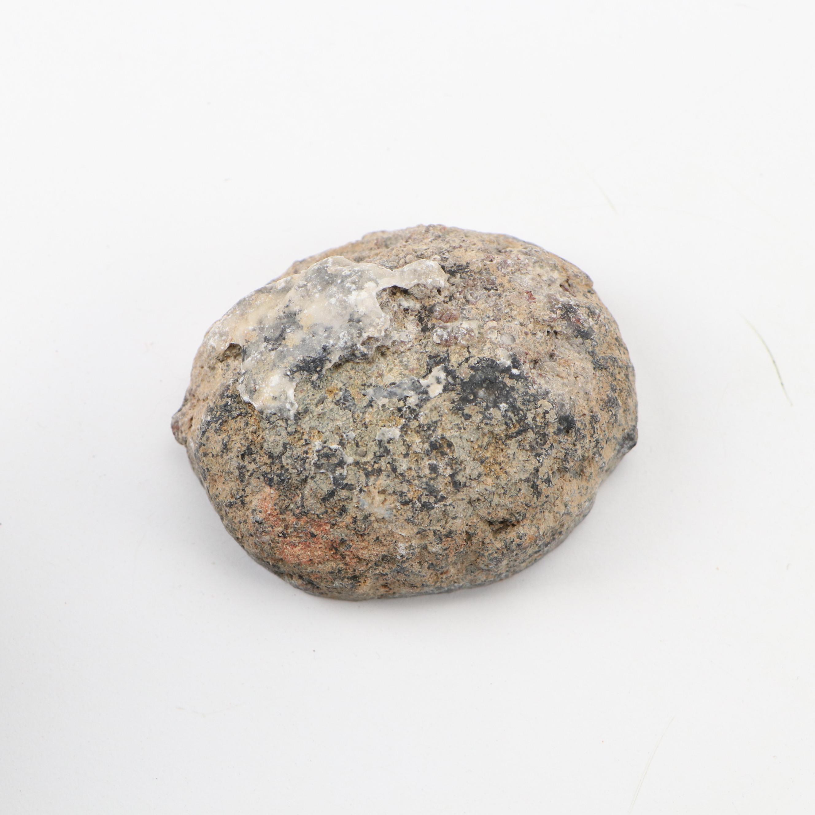 Septarian Nodule with Aragonite, Botryoidal Specimens, Petrified Wood, More