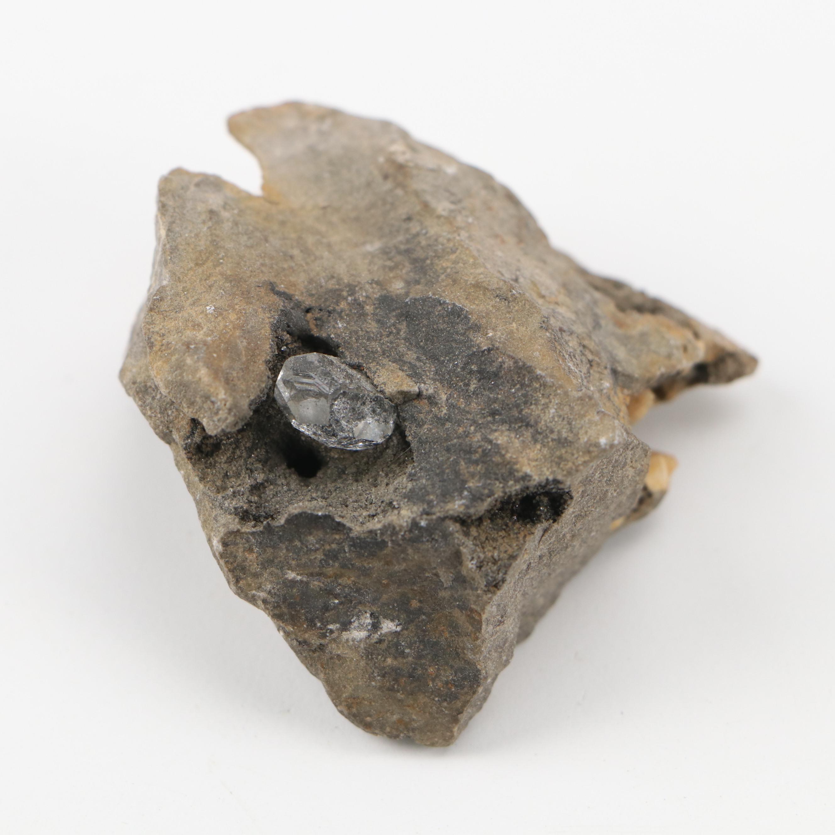 Septarian Nodule with Aragonite, Botryoidal Specimens, Petrified Wood, More