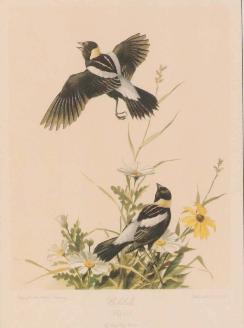 Offset Lithograph After Roger Tory Peterson "Bobolink"