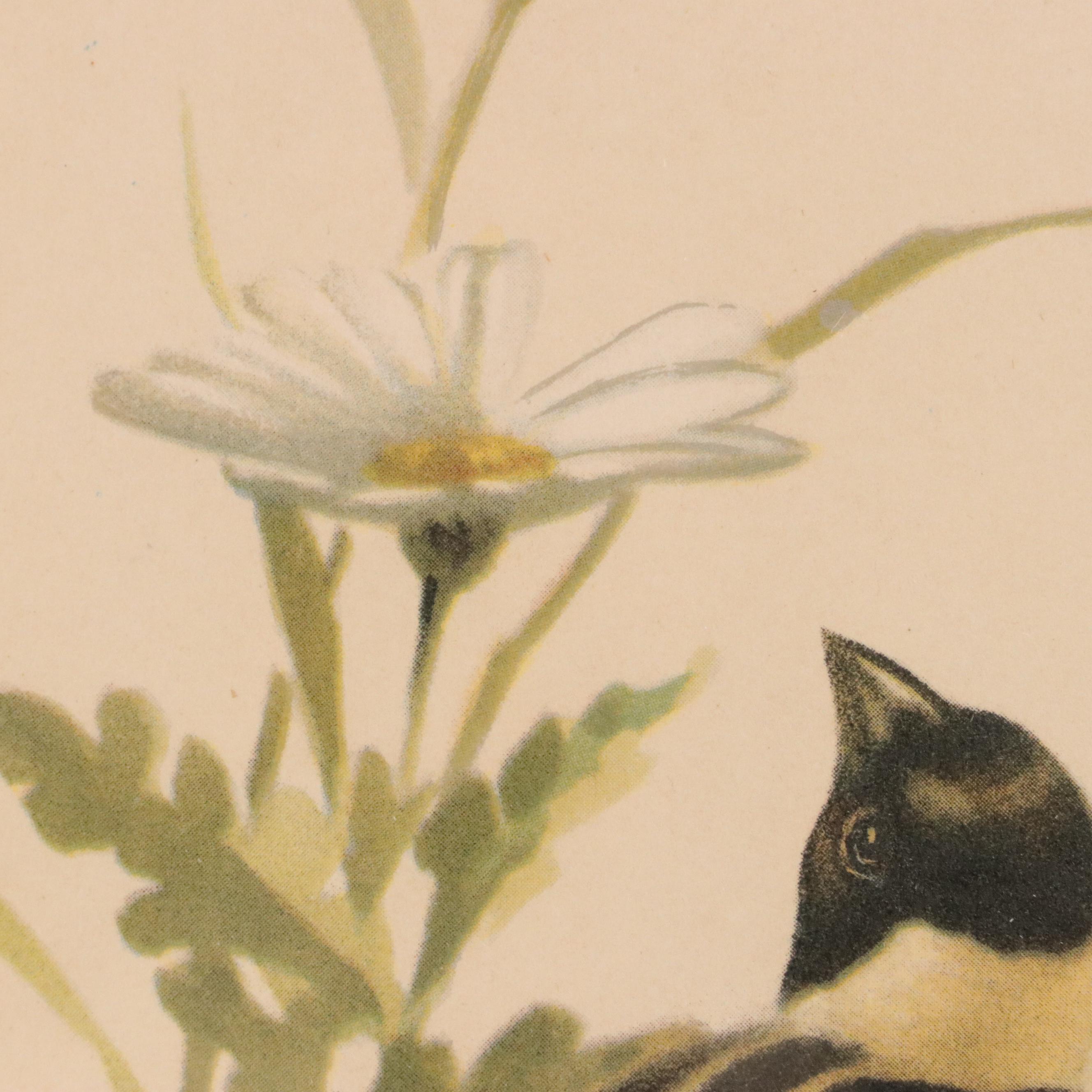 Offset Lithograph After Roger Tory Peterson "Bobolink"