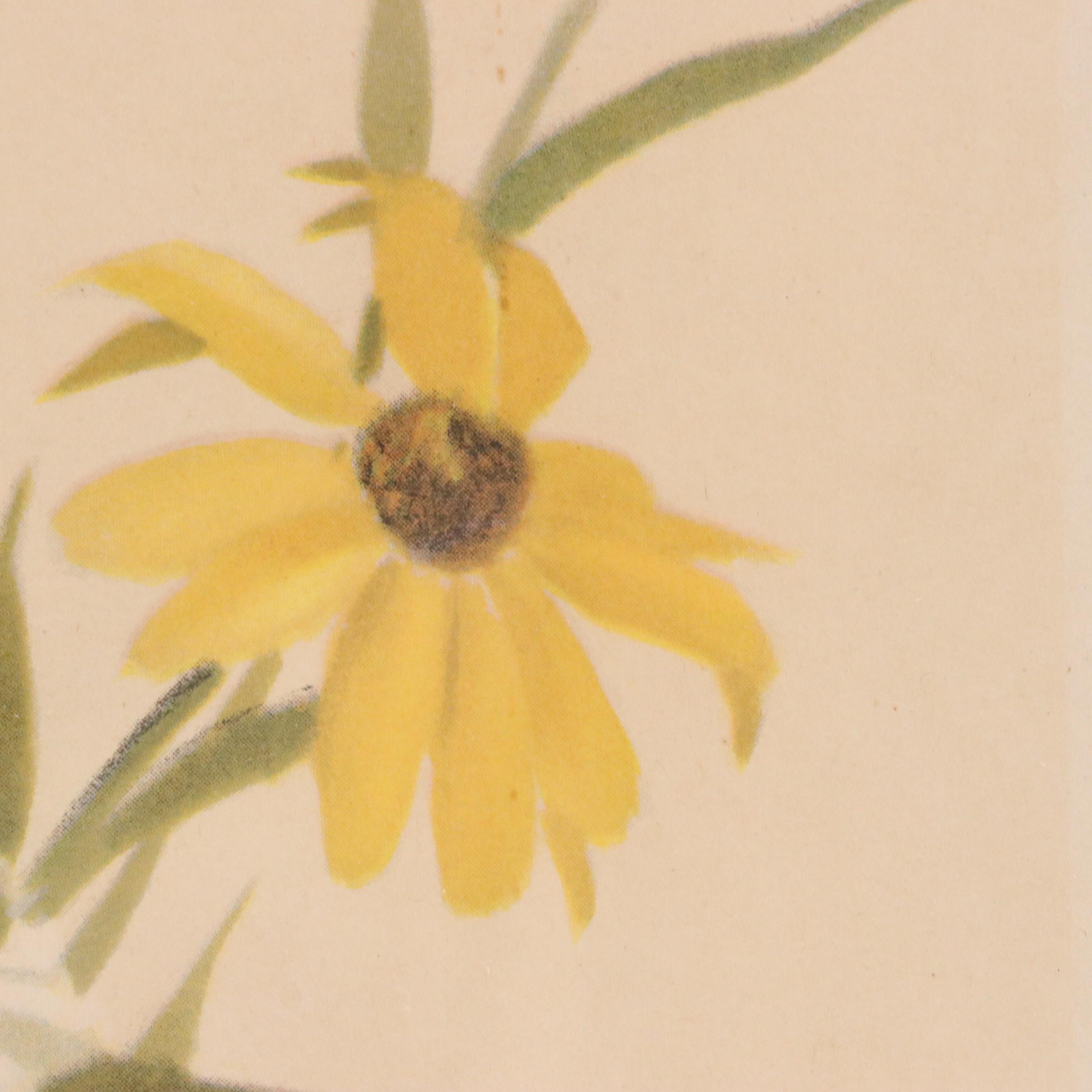 Offset Lithograph After Roger Tory Peterson "Bobolink"