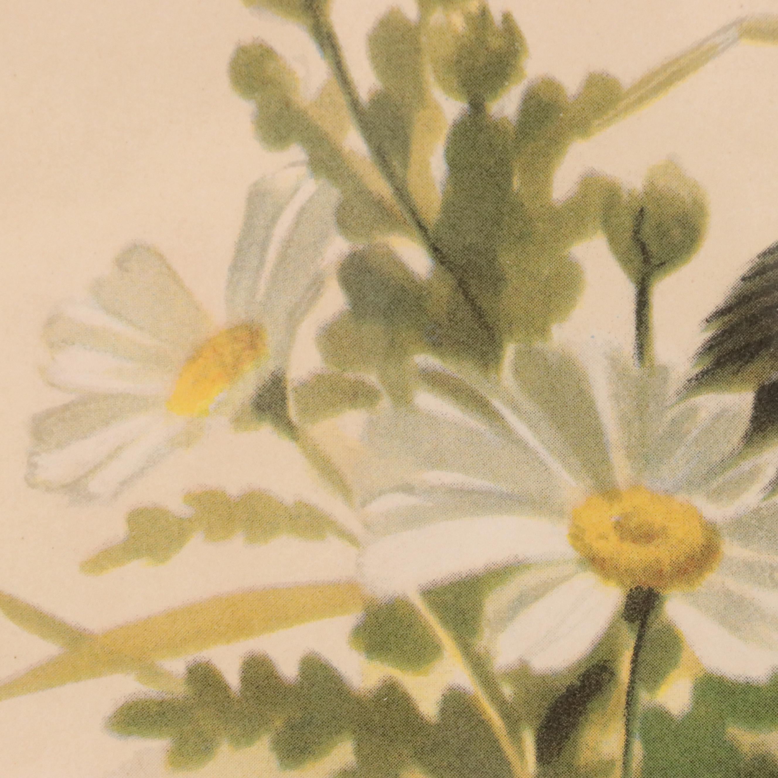 Offset Lithograph After Roger Tory Peterson "Bobolink"