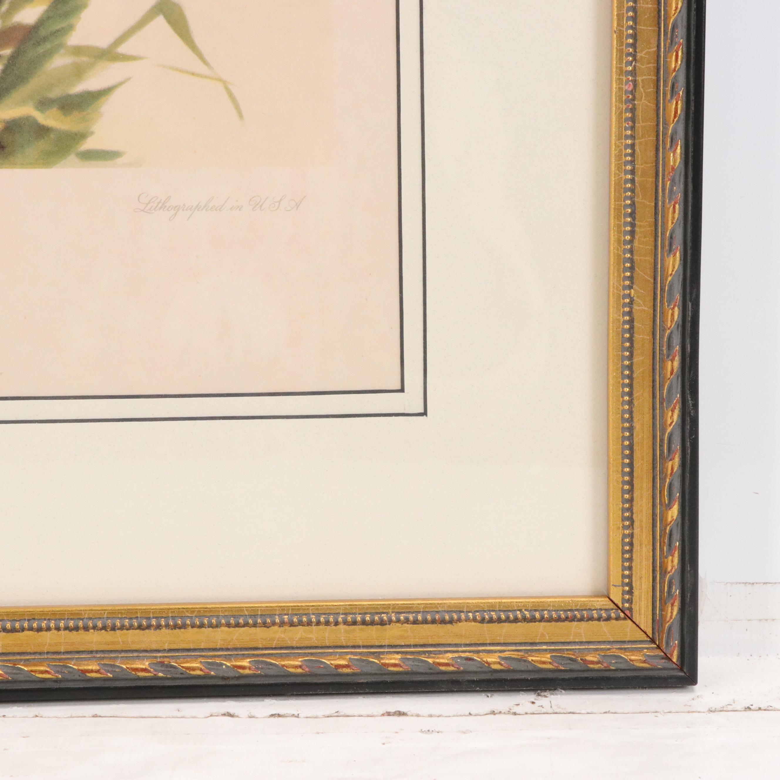 Offset Lithograph After Roger Tory Peterson "Bobolink"