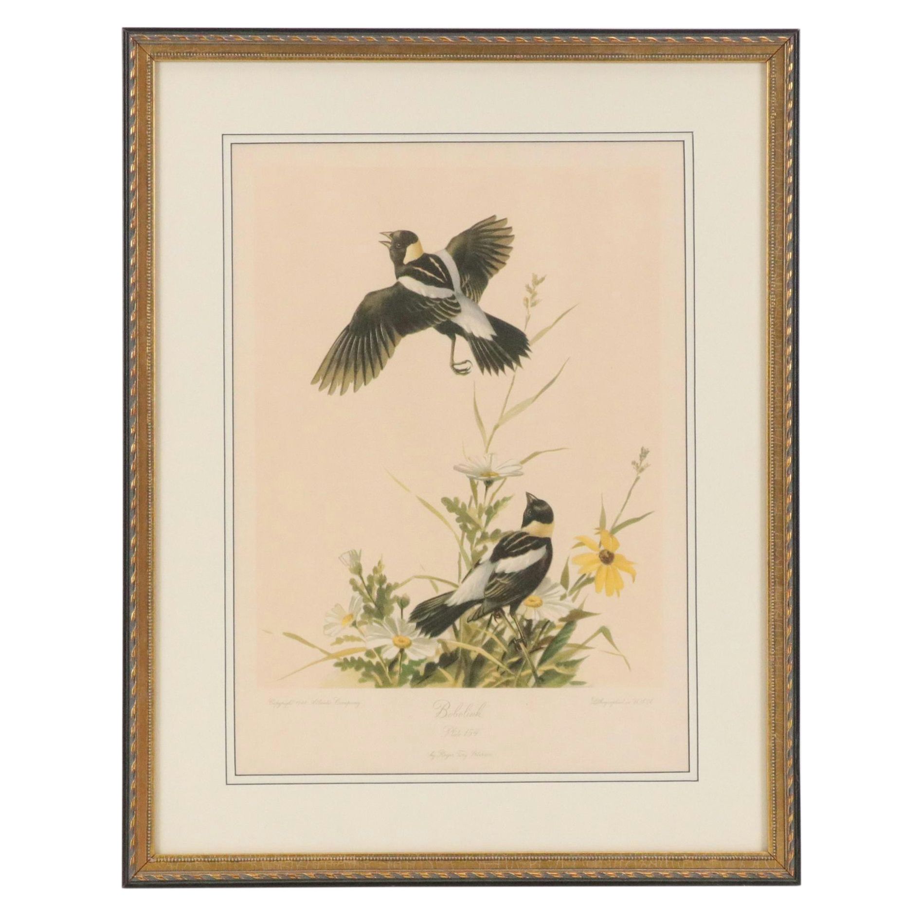 Offset Lithograph After Roger Tory Peterson "Bobolink"