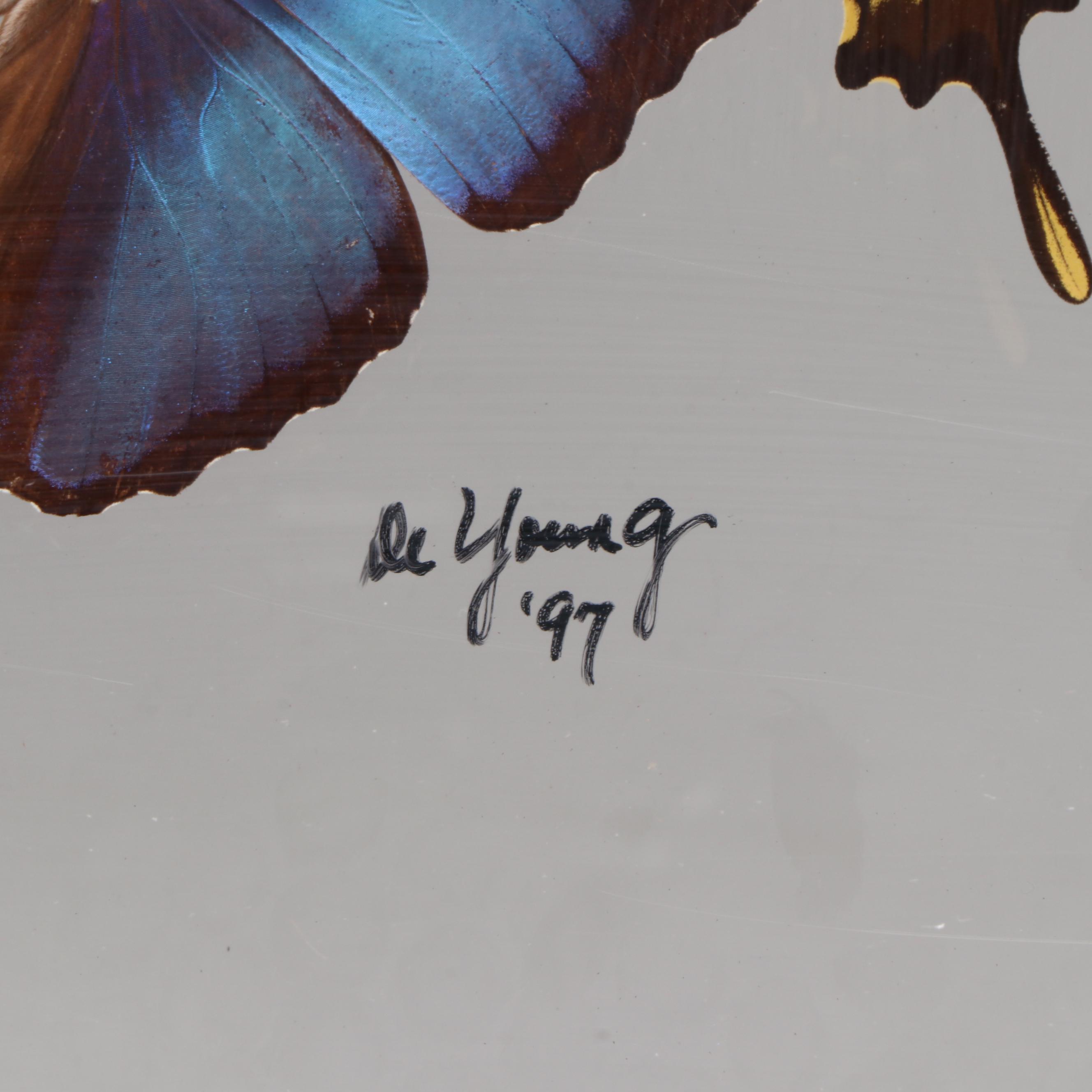 Taxidermy Butterfly Wall Hanging, 1997