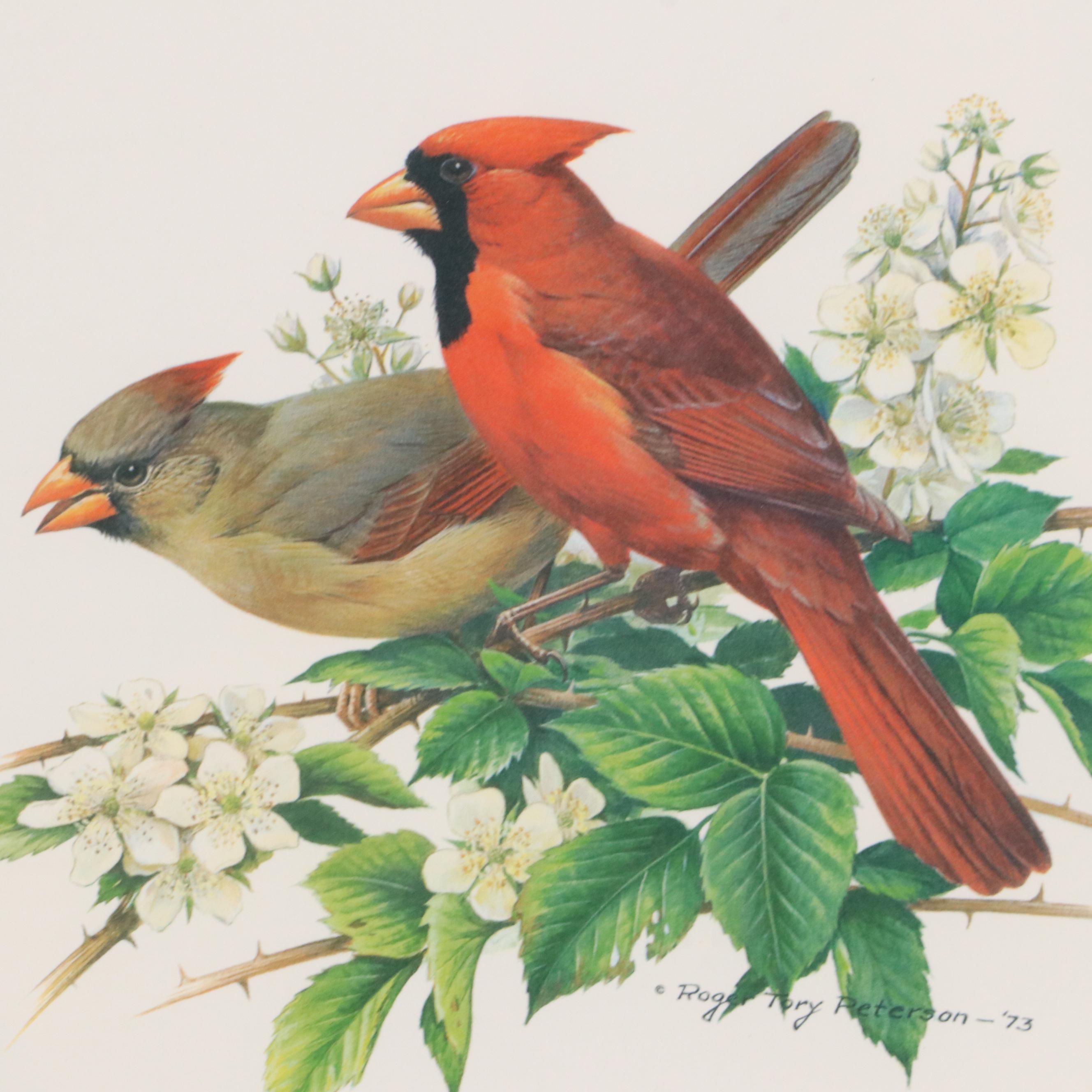 Ornithological Offset Lithograph After Roger Tory Peterson of Cardinals