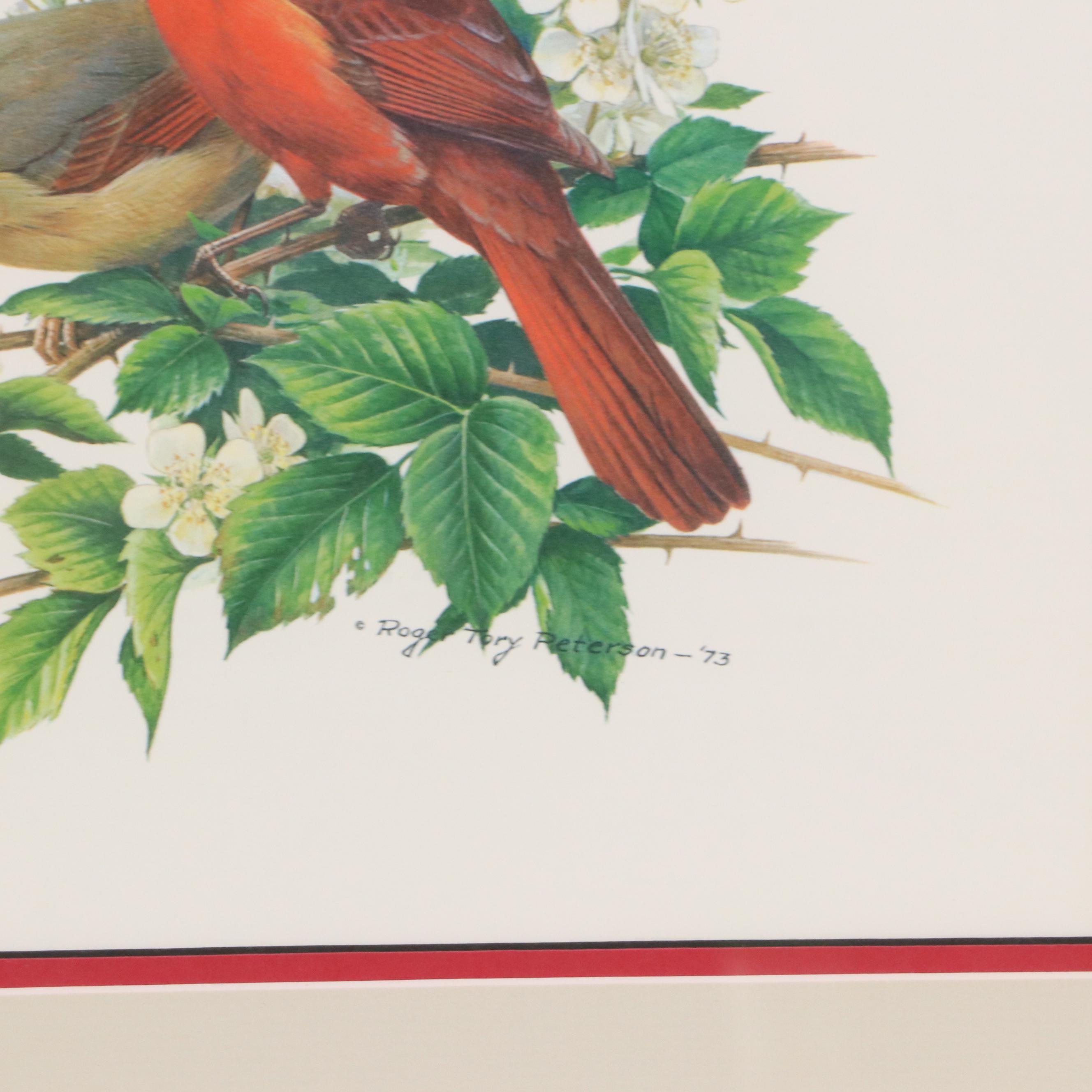 Ornithological Offset Lithograph After Roger Tory Peterson of Cardinals