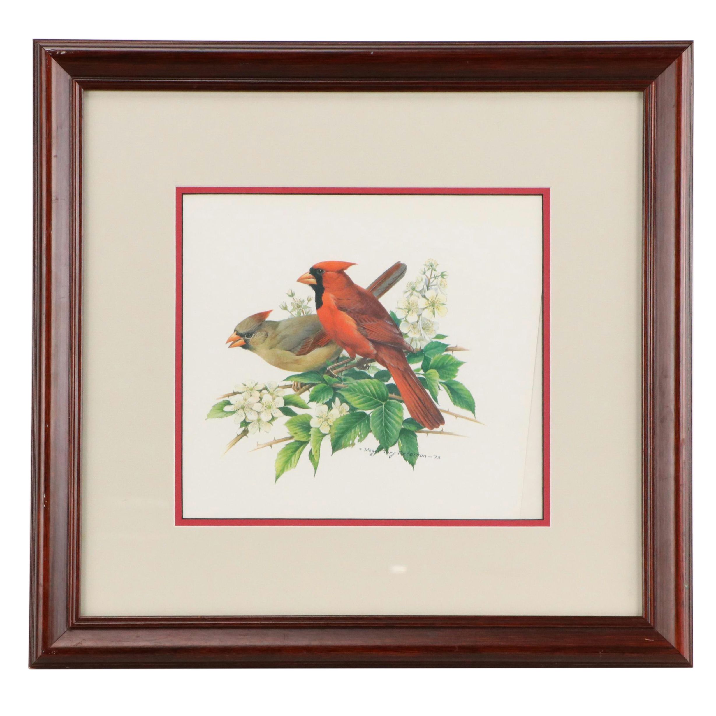 Ornithological Offset Lithograph After Roger Tory Peterson of Cardinals