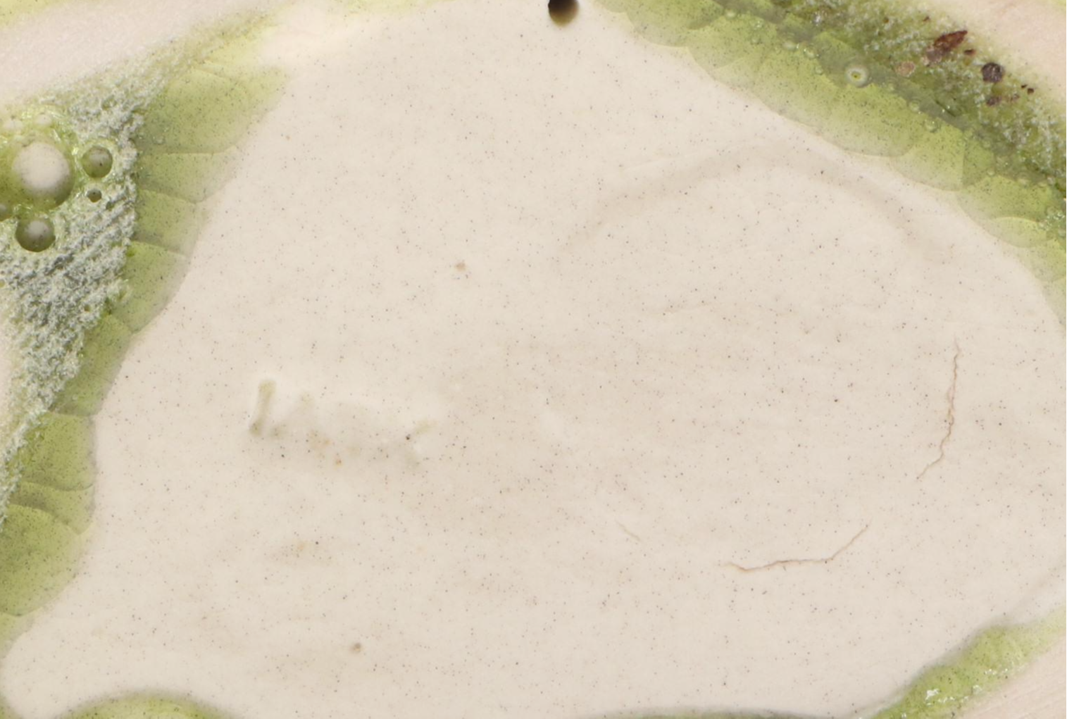 Rookwood Ceramic Green Glazed Cat Figurine