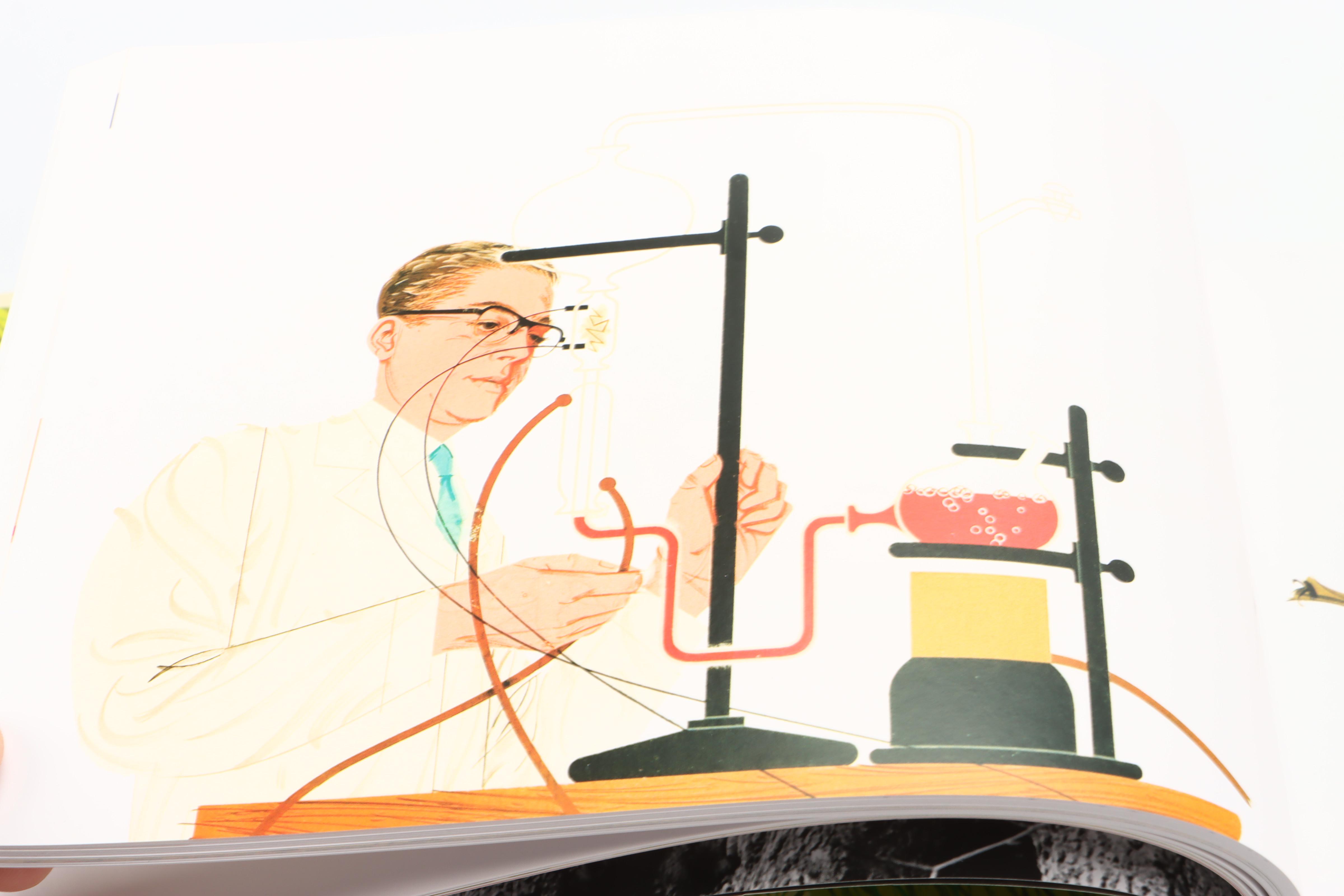 Illustrated "Charley Harper: An Illustrated Life" by Todd Oldham, 2009