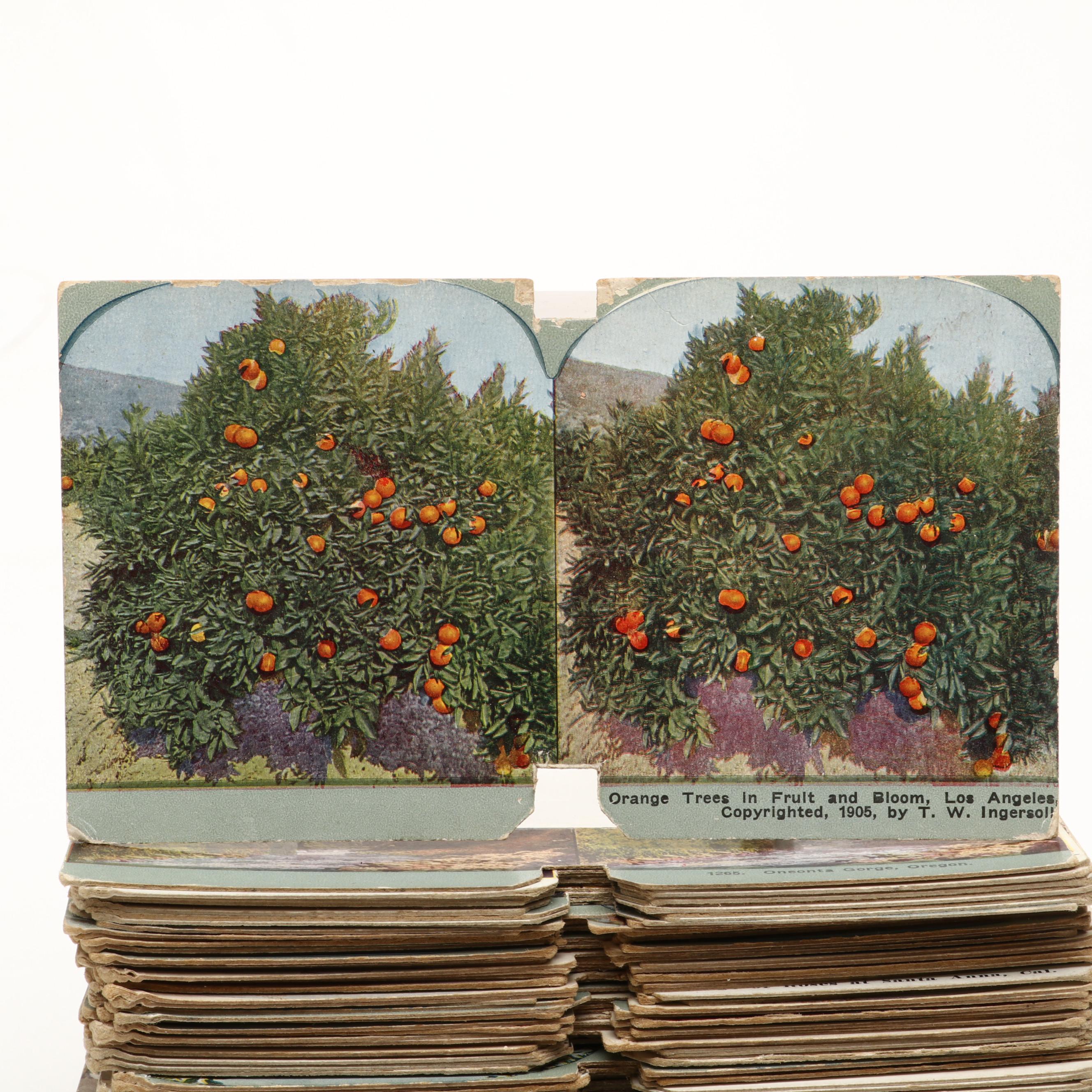 Underwood & Underwood Wood Stereoscope Viewer with Cardboard Stereo Cards