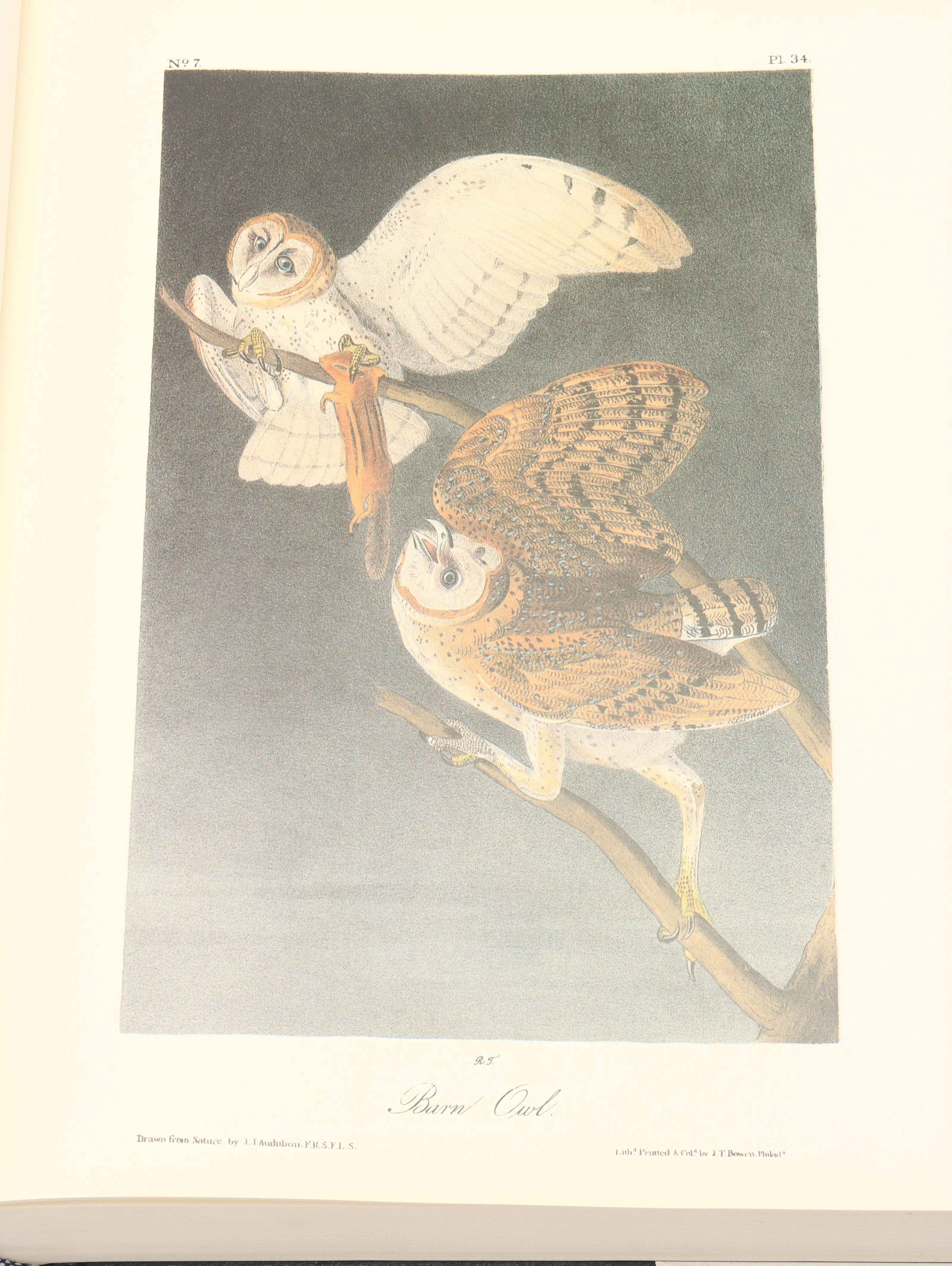 Royal Octavo Edition "Audubon's Birds of America" by John James Audubon, 1994