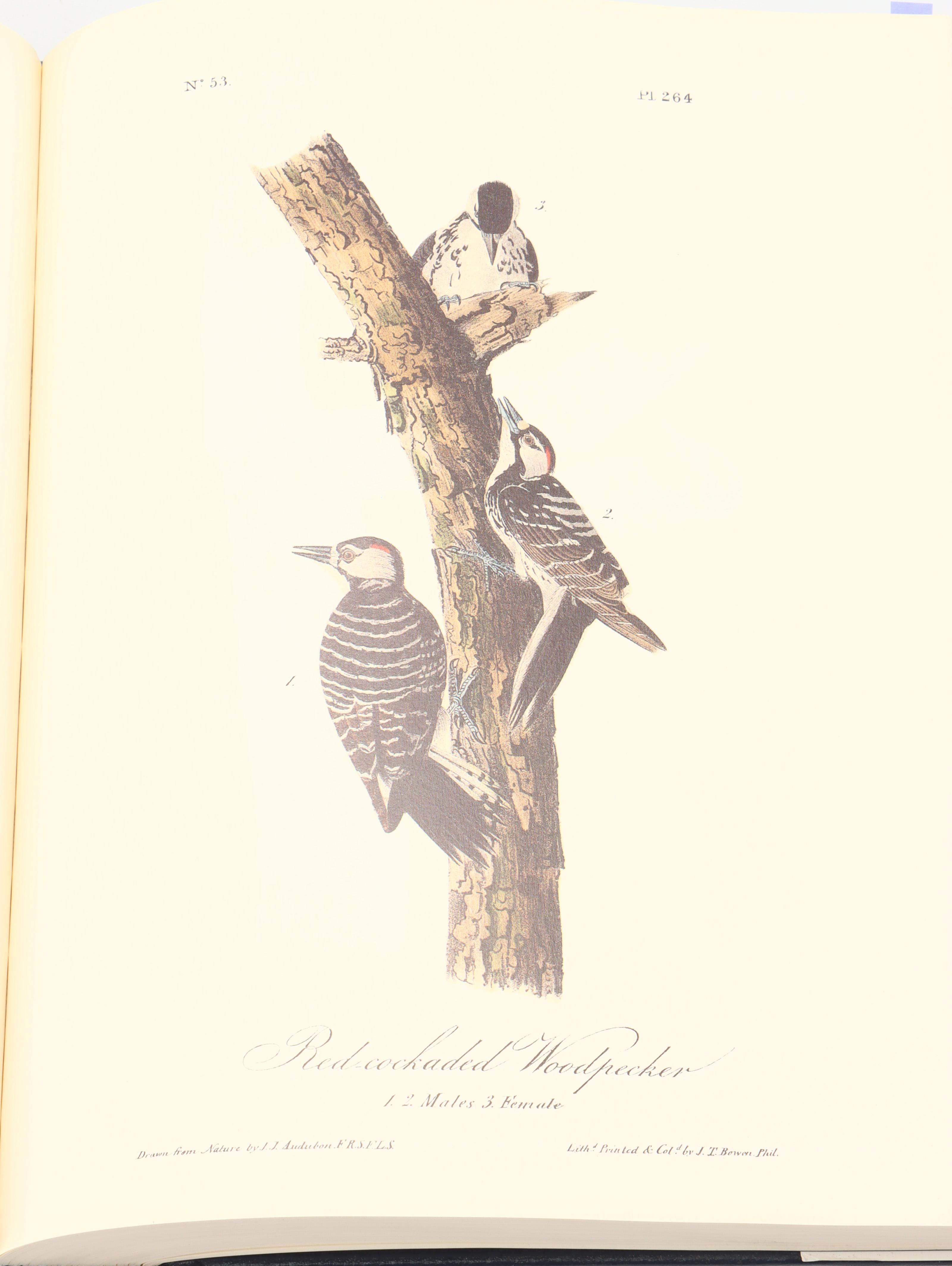 Royal Octavo Edition "Audubon's Birds of America" by John James Audubon, 1994