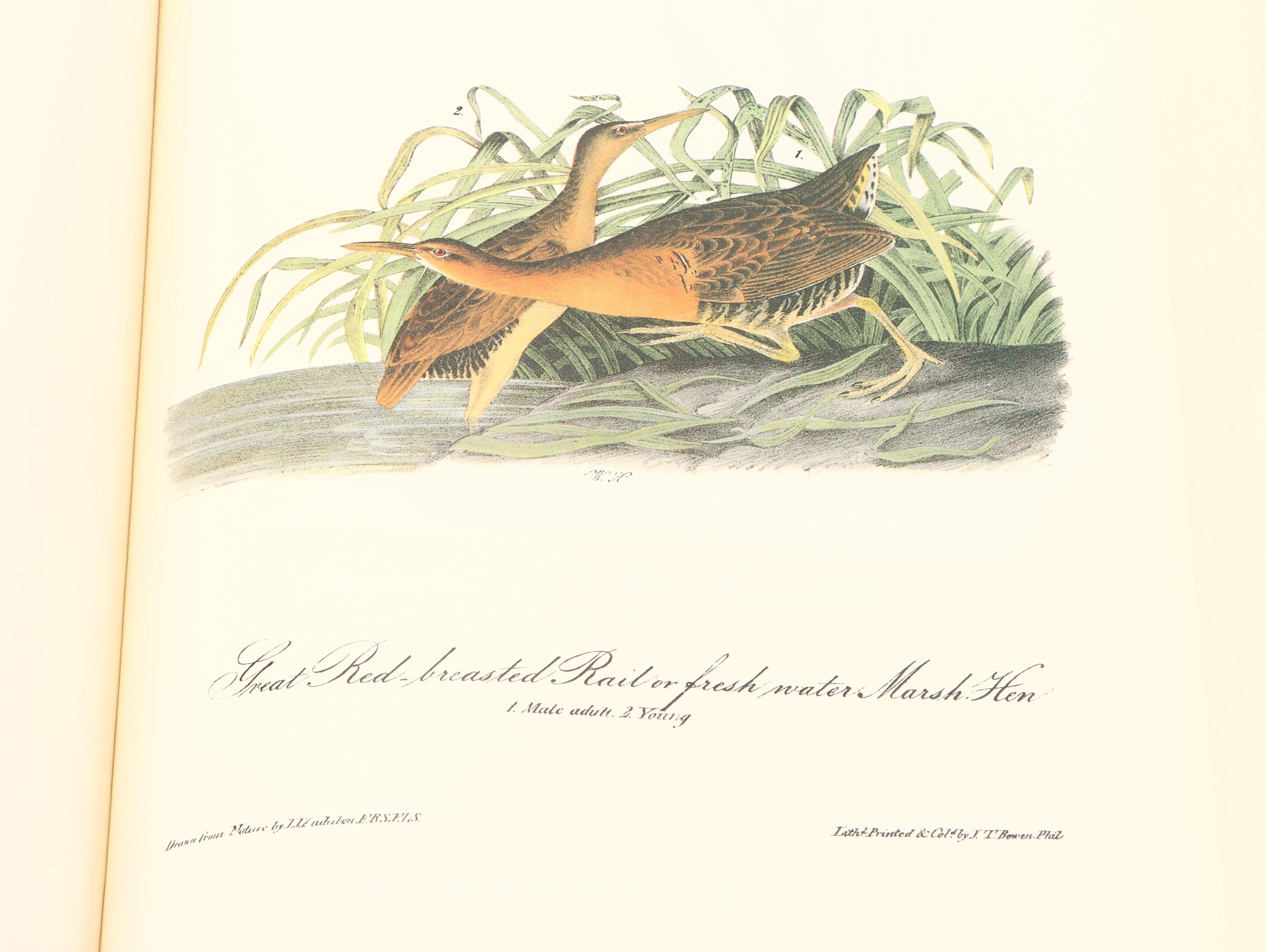 Royal Octavo Edition "Audubon's Birds of America" by John James Audubon, 1994