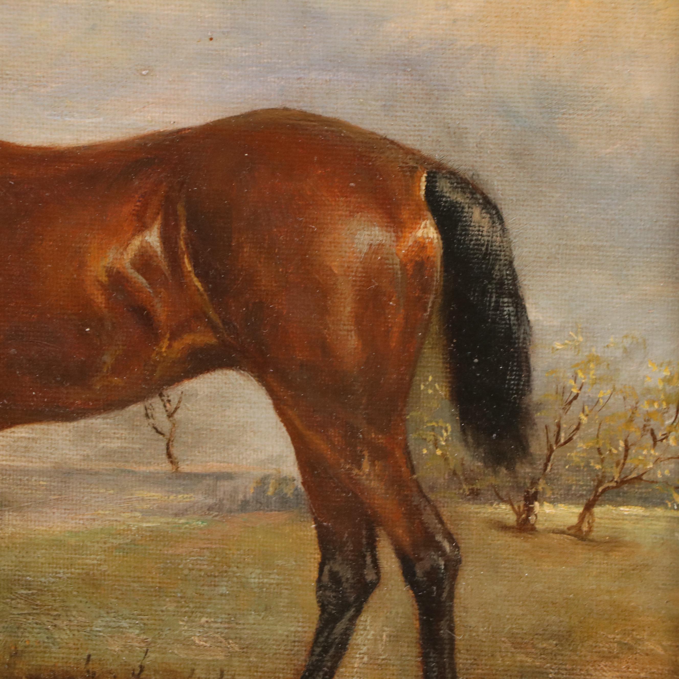 Equine Portrait Oil Painting, Circa 2000