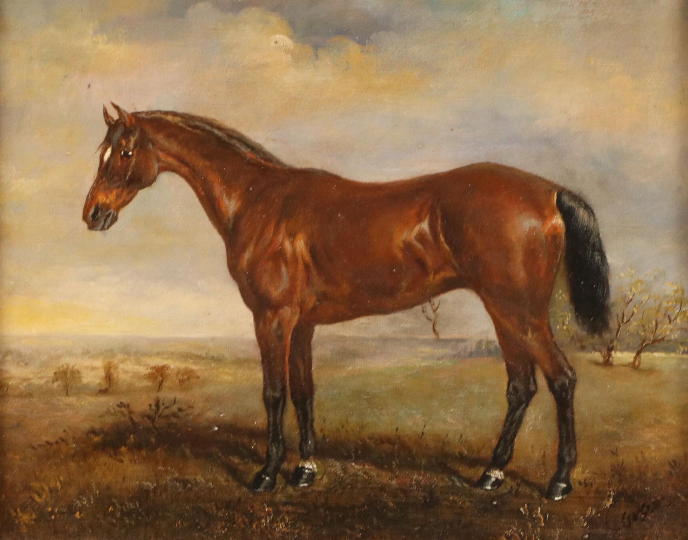 Equine Portrait Oil Painting, Circa 2000