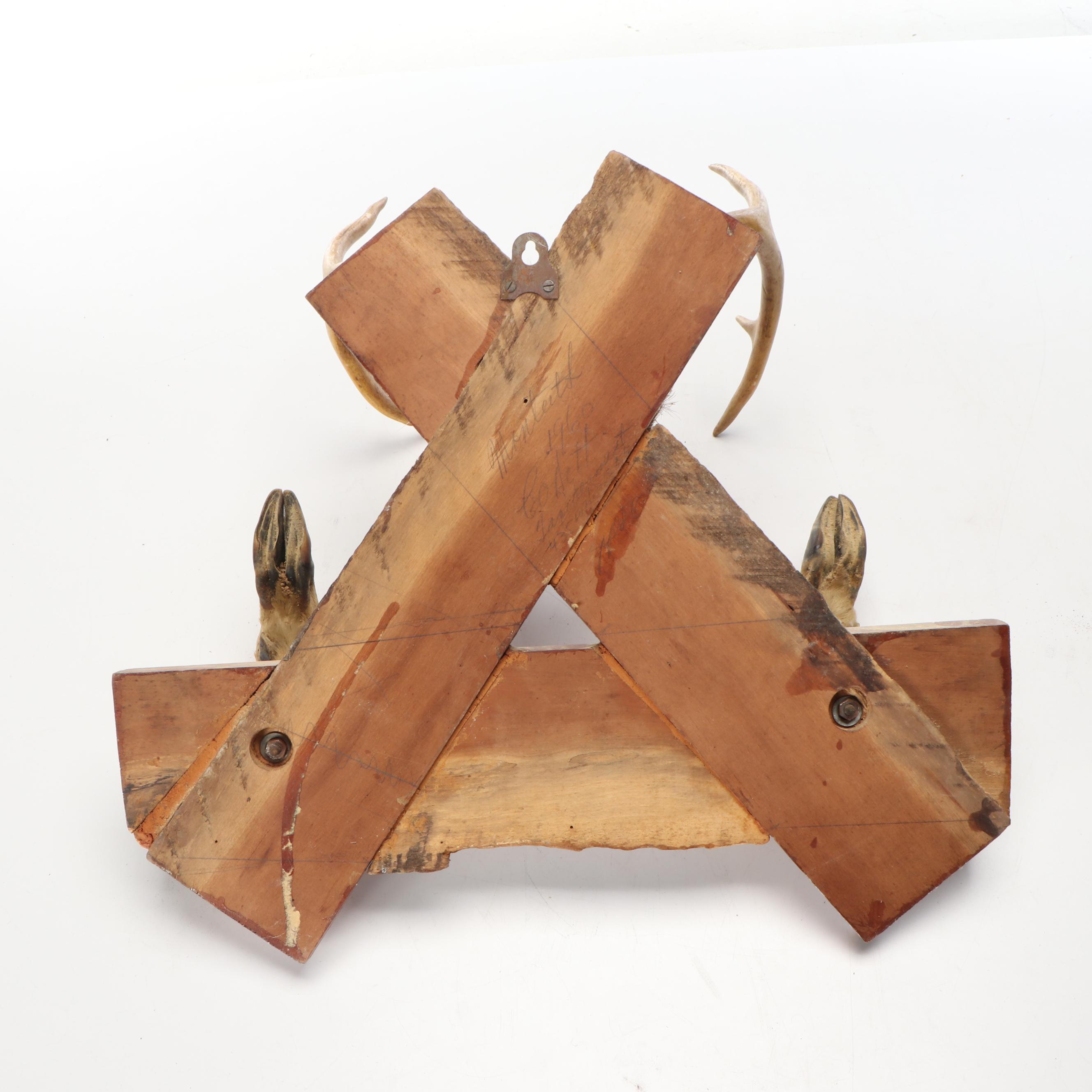 Taxidermy White-Tailed Deer Antler and Skull Cap Wall Mount with Hoof Gun Rack