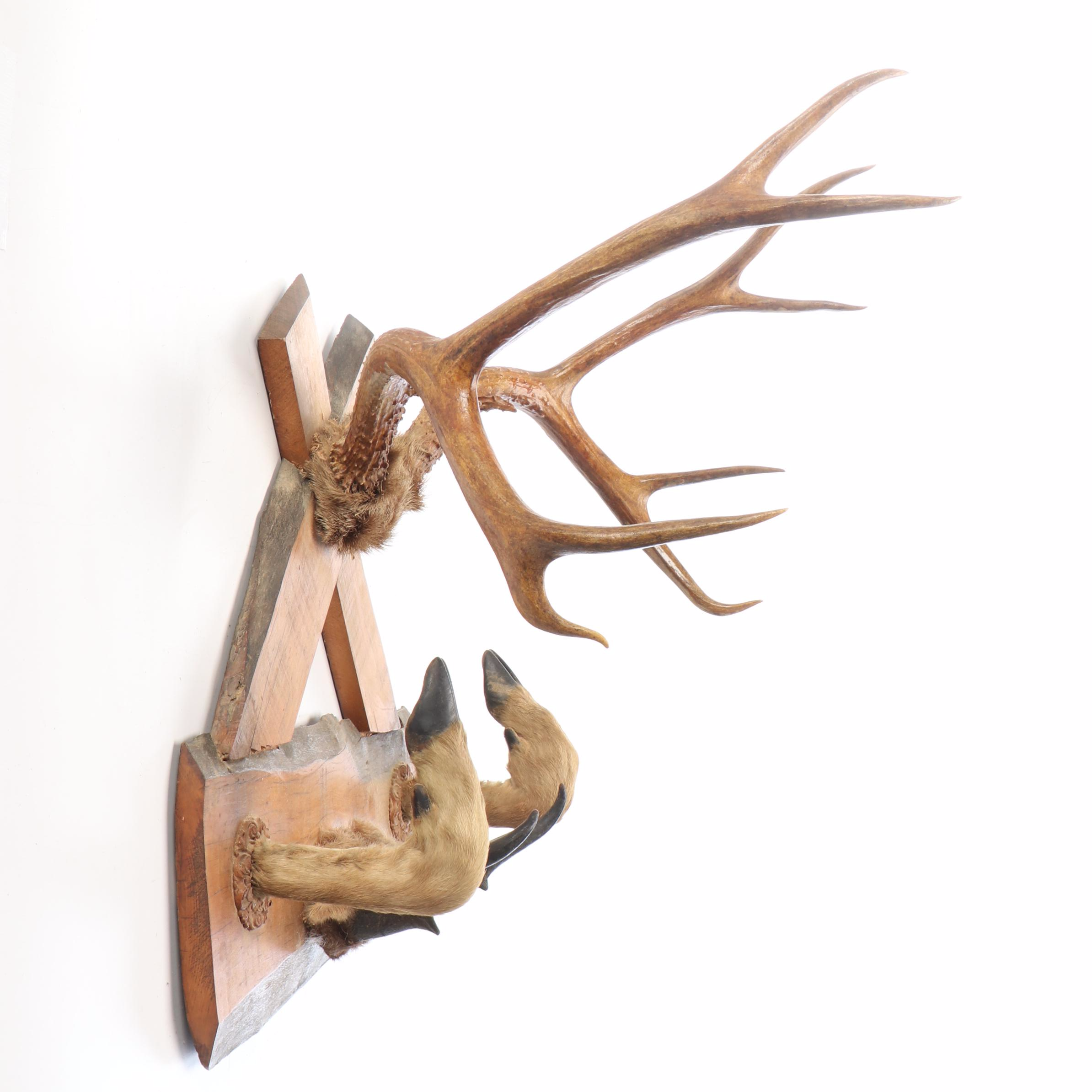 Taxidermy White-Tailed Deer and Pronghorn Antler Skull Cap Mounts, Hoof Gun Rack