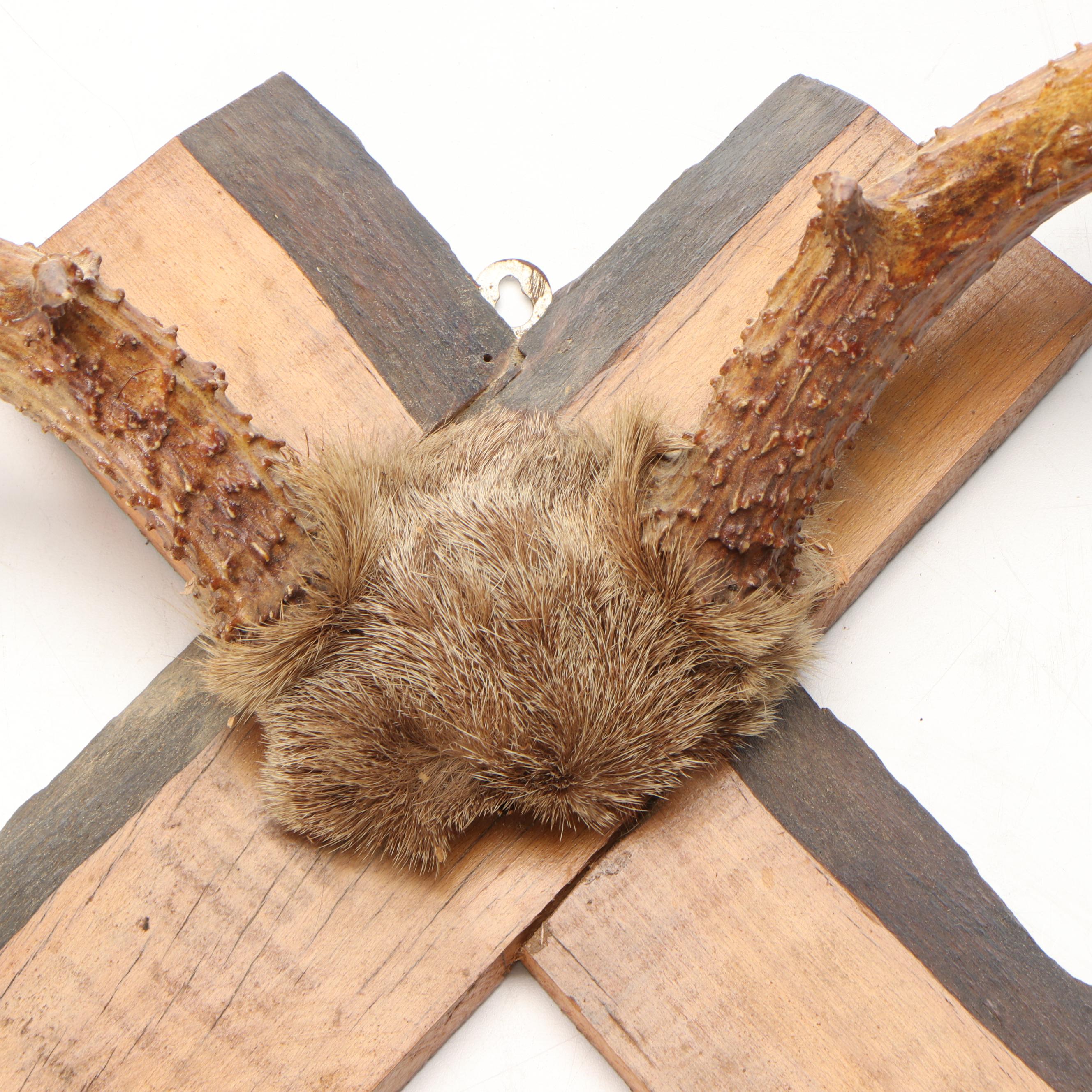 Taxidermy White-Tailed Deer and Pronghorn Antler Skull Cap Mounts, Hoof Gun Rack