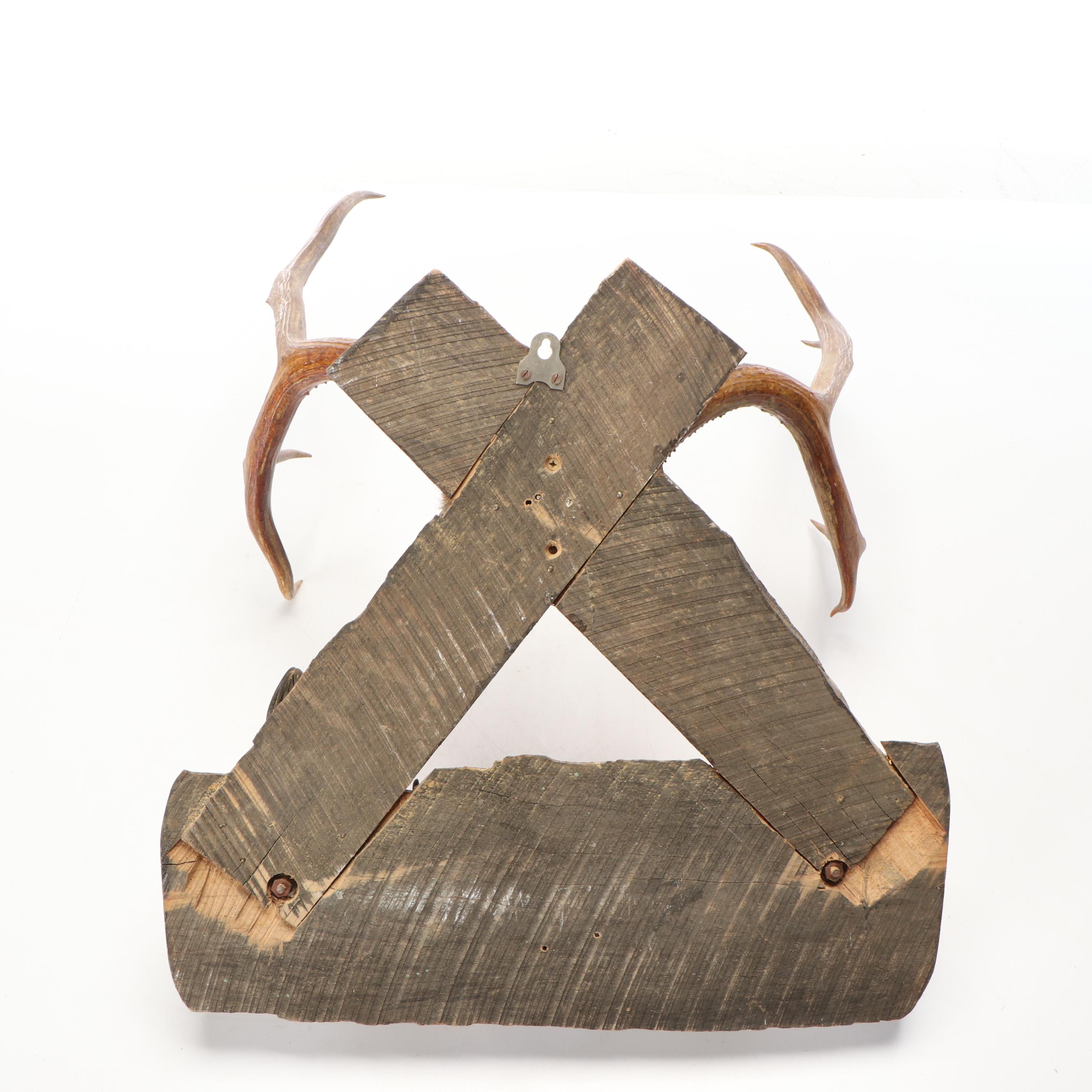 Taxidermy White-Tailed Deer and Pronghorn Antler Skull Cap Mounts, Hoof Gun Rack