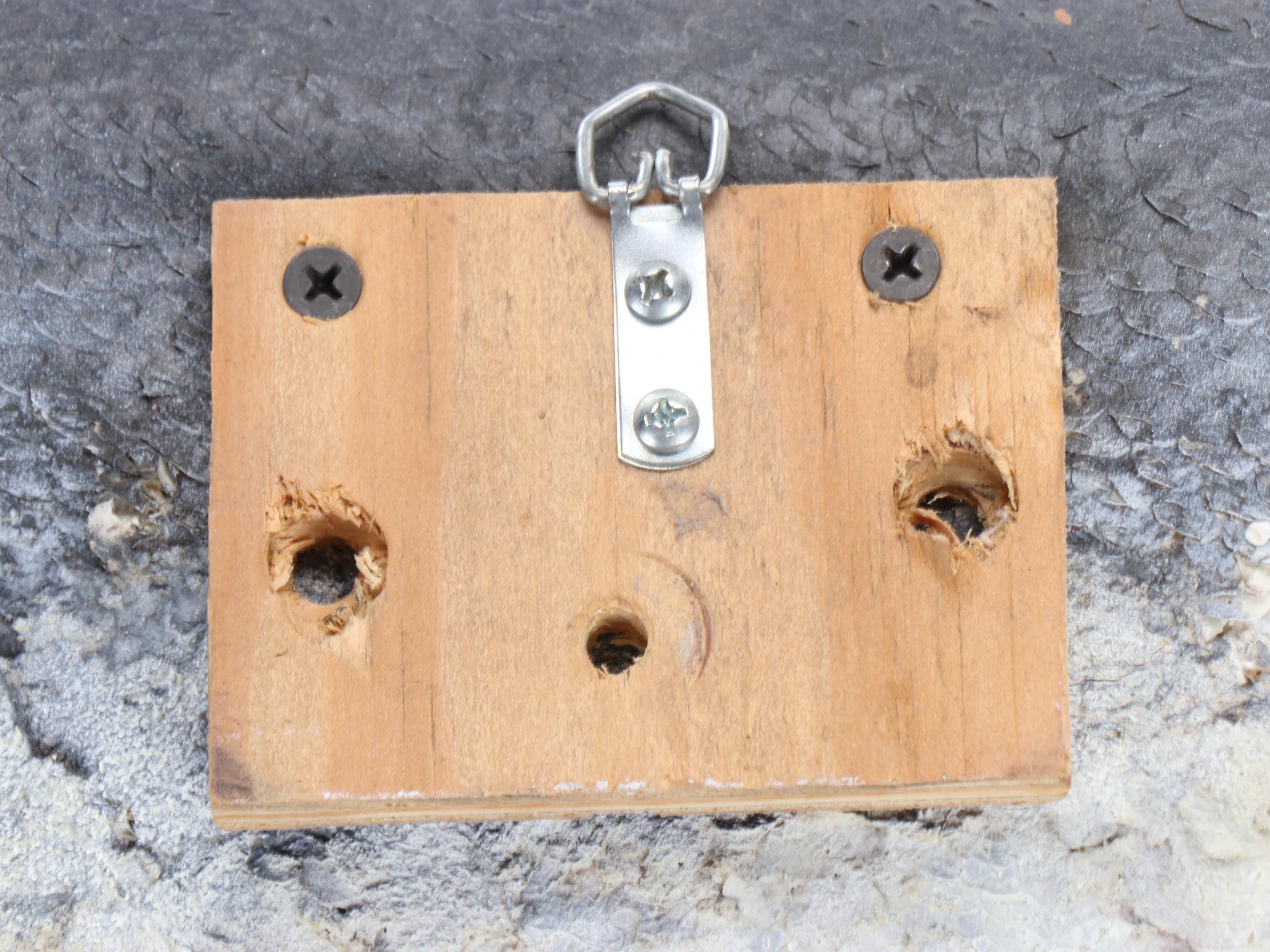 Taxidermy Northern Pike Full Body Mount