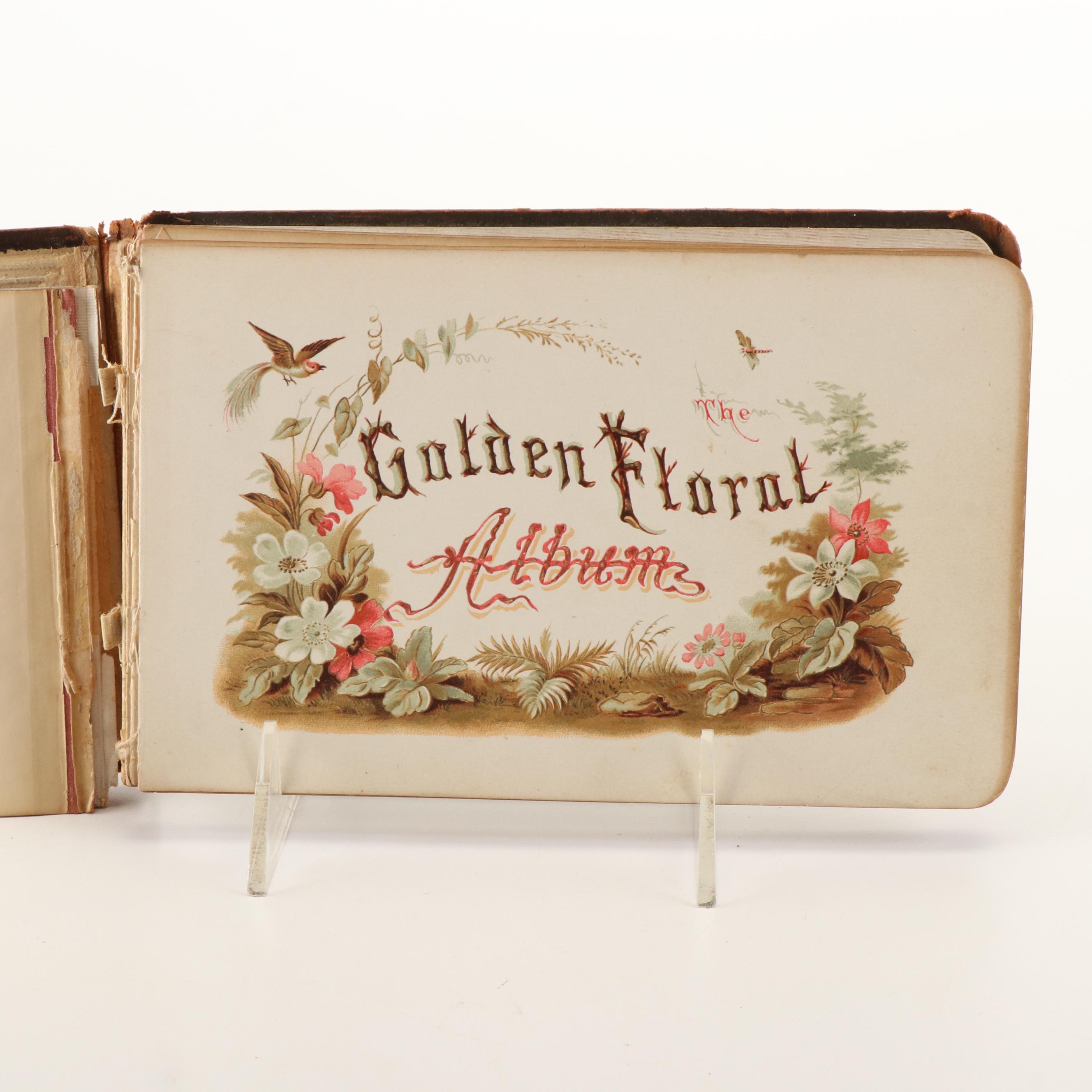 Mississippi, Louisiana, Texas with More Postcards and Autograph Book