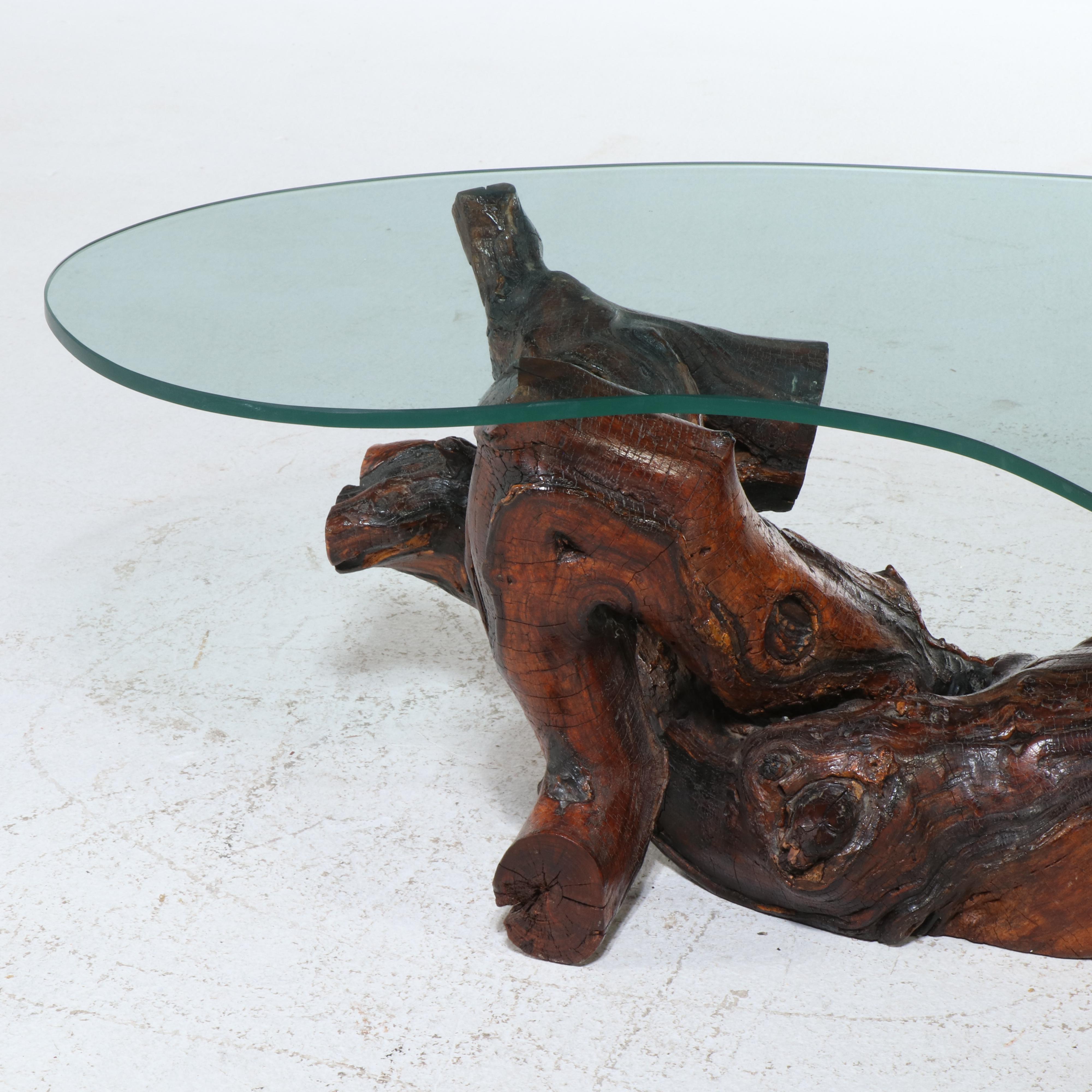 Modernist Style Root and Glass Top Coffee Table
