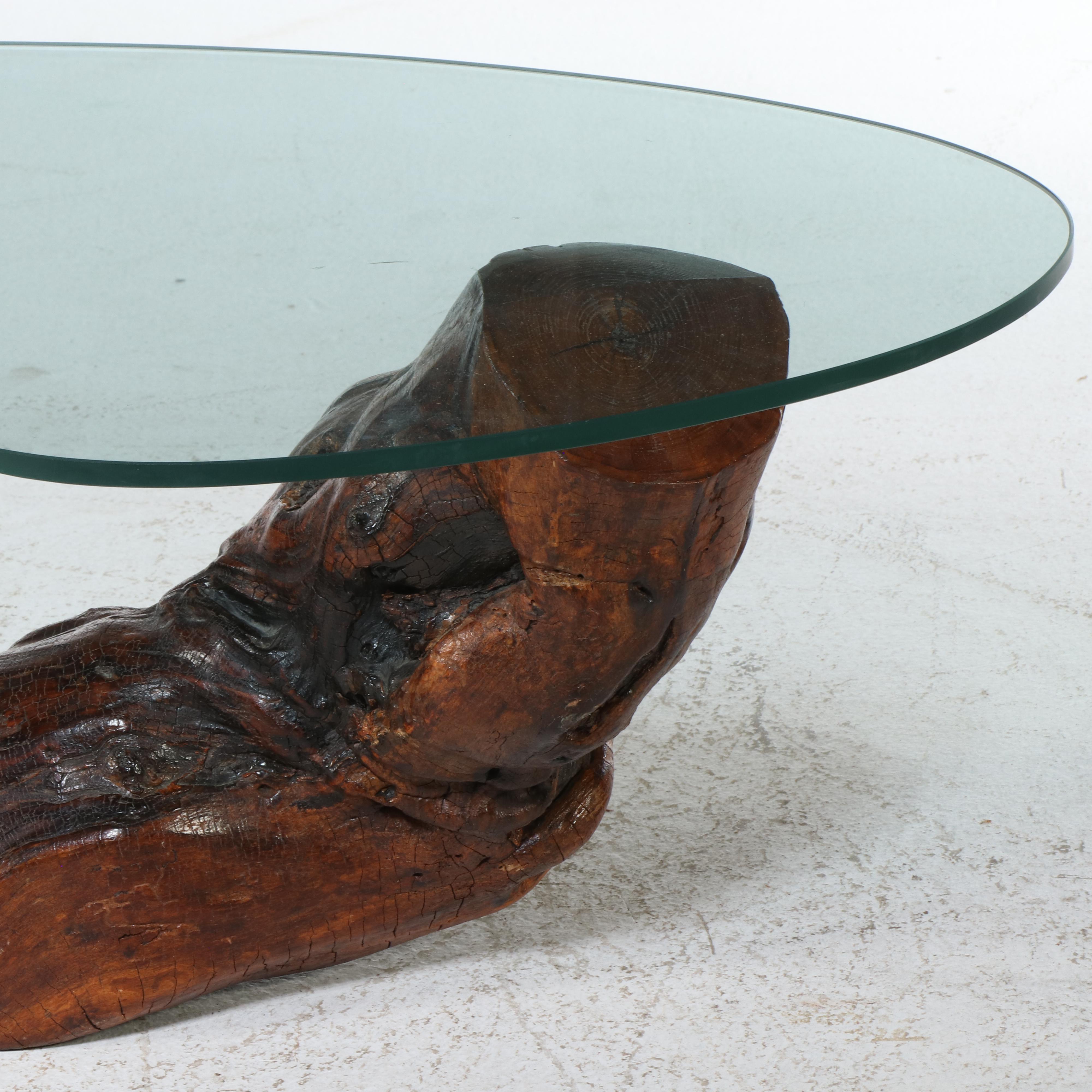 Modernist Style Root and Glass Top Coffee Table