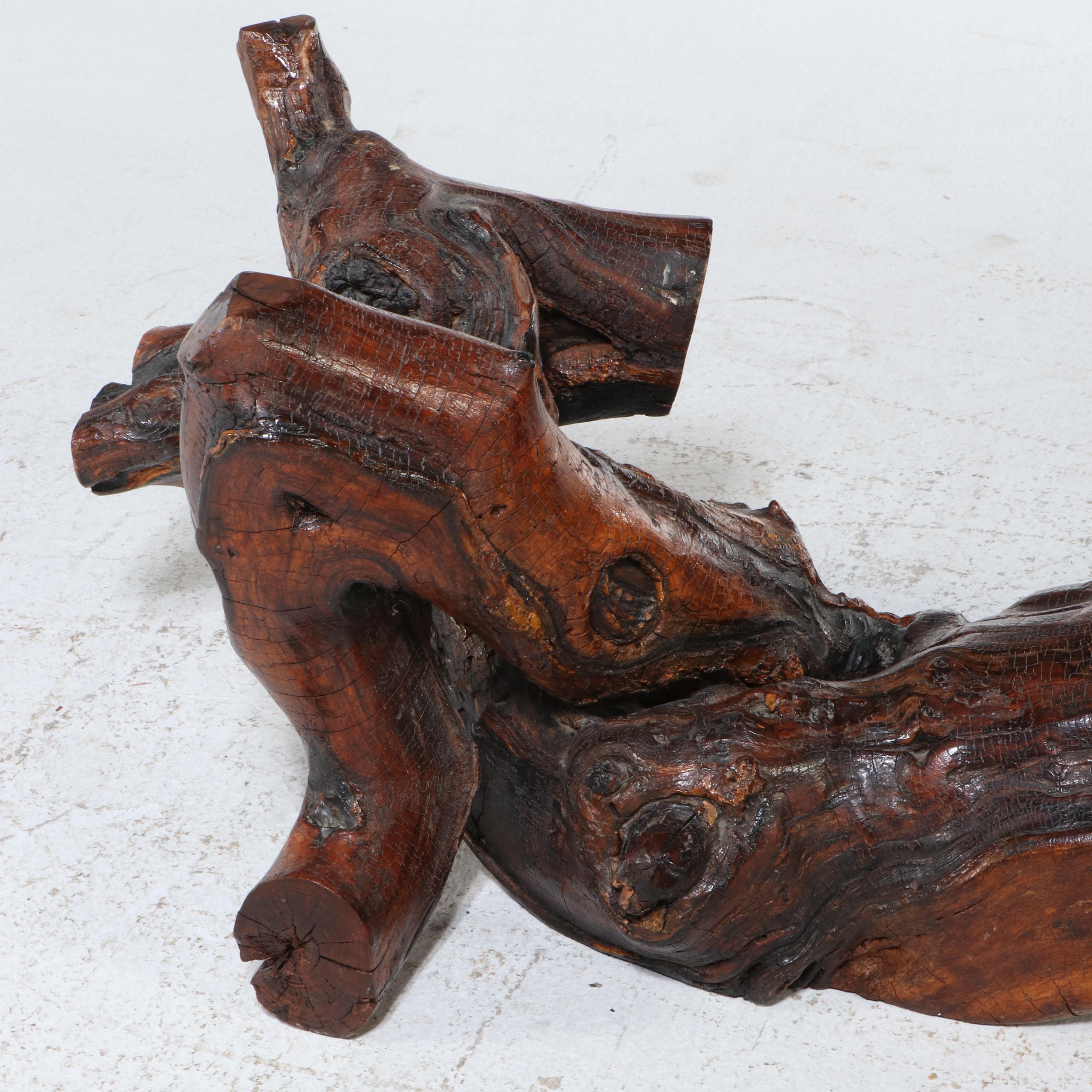 Modernist Style Root and Glass Top Coffee Table