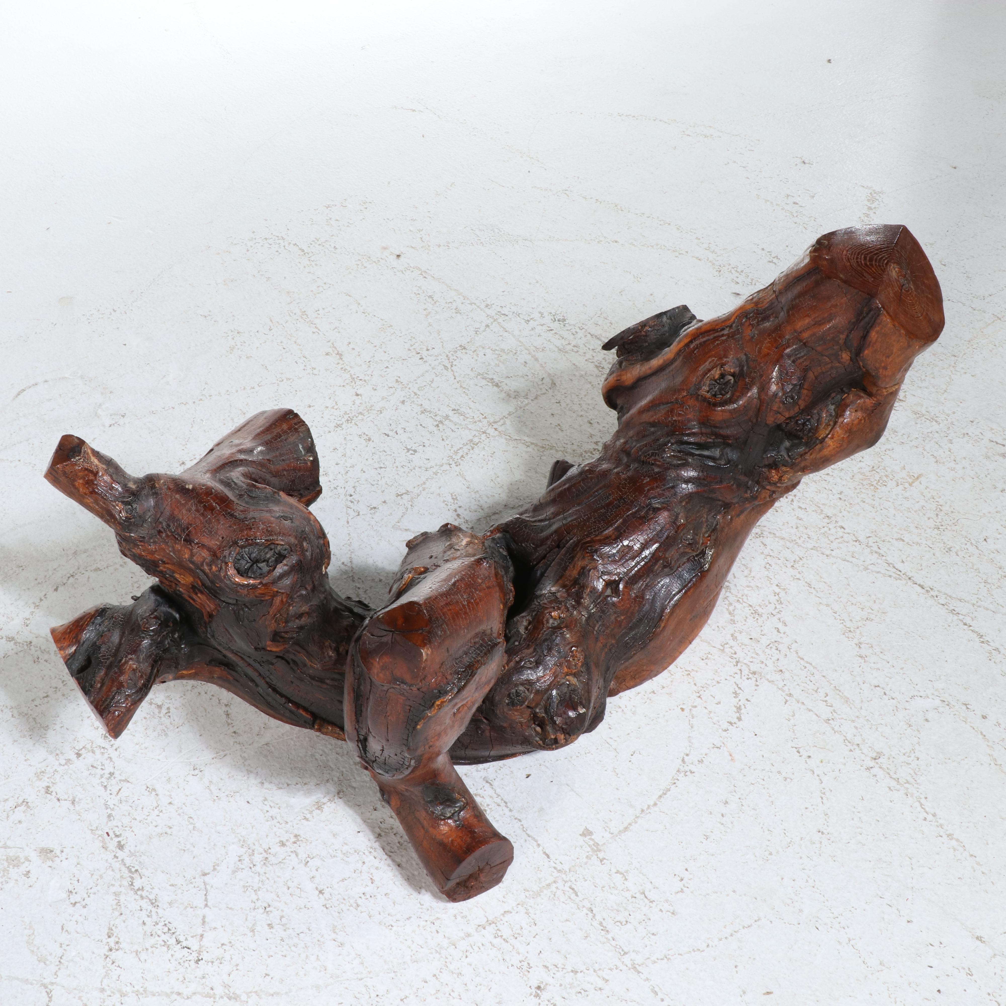 Modernist Style Root and Glass Top Coffee Table