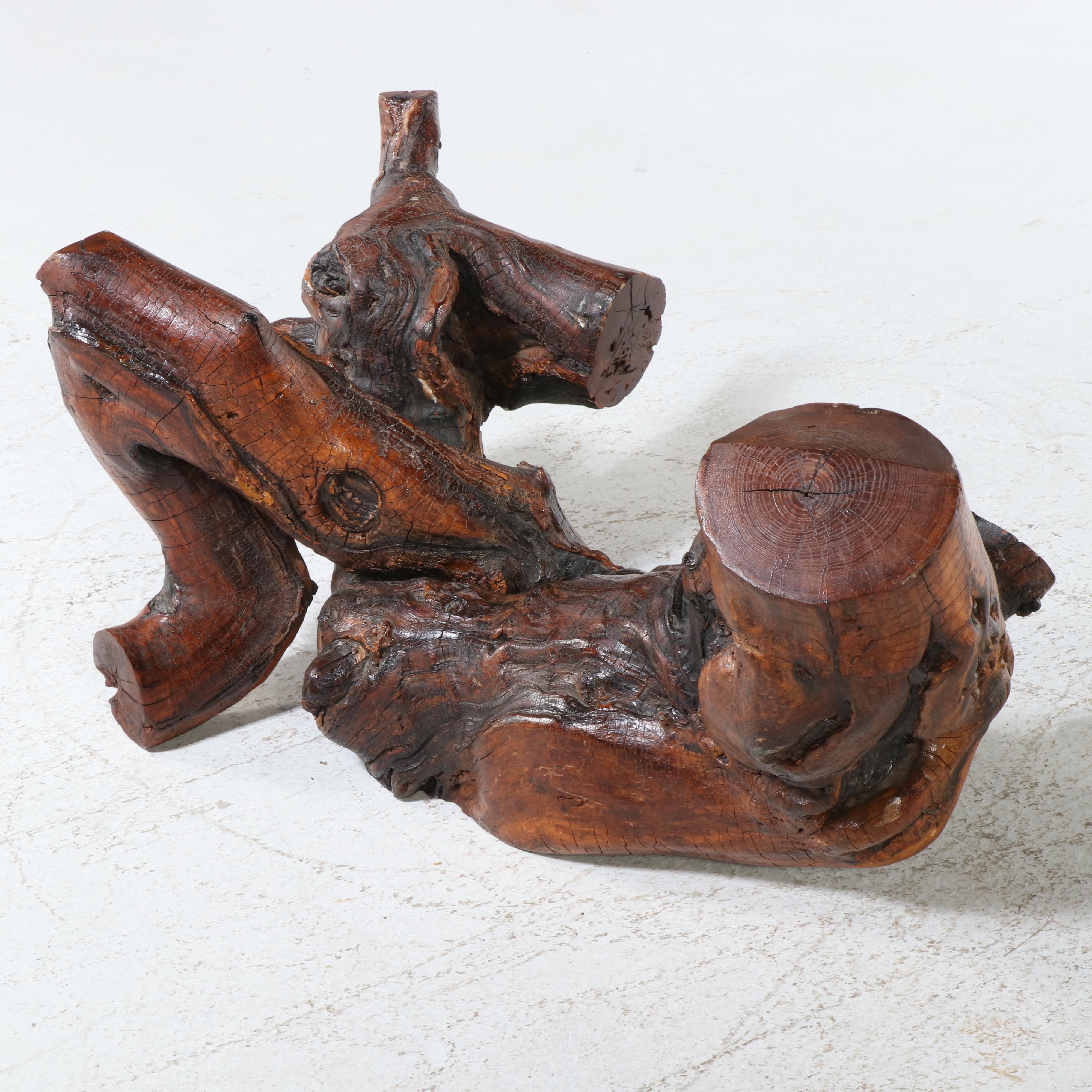 Modernist Style Root and Glass Top Coffee Table