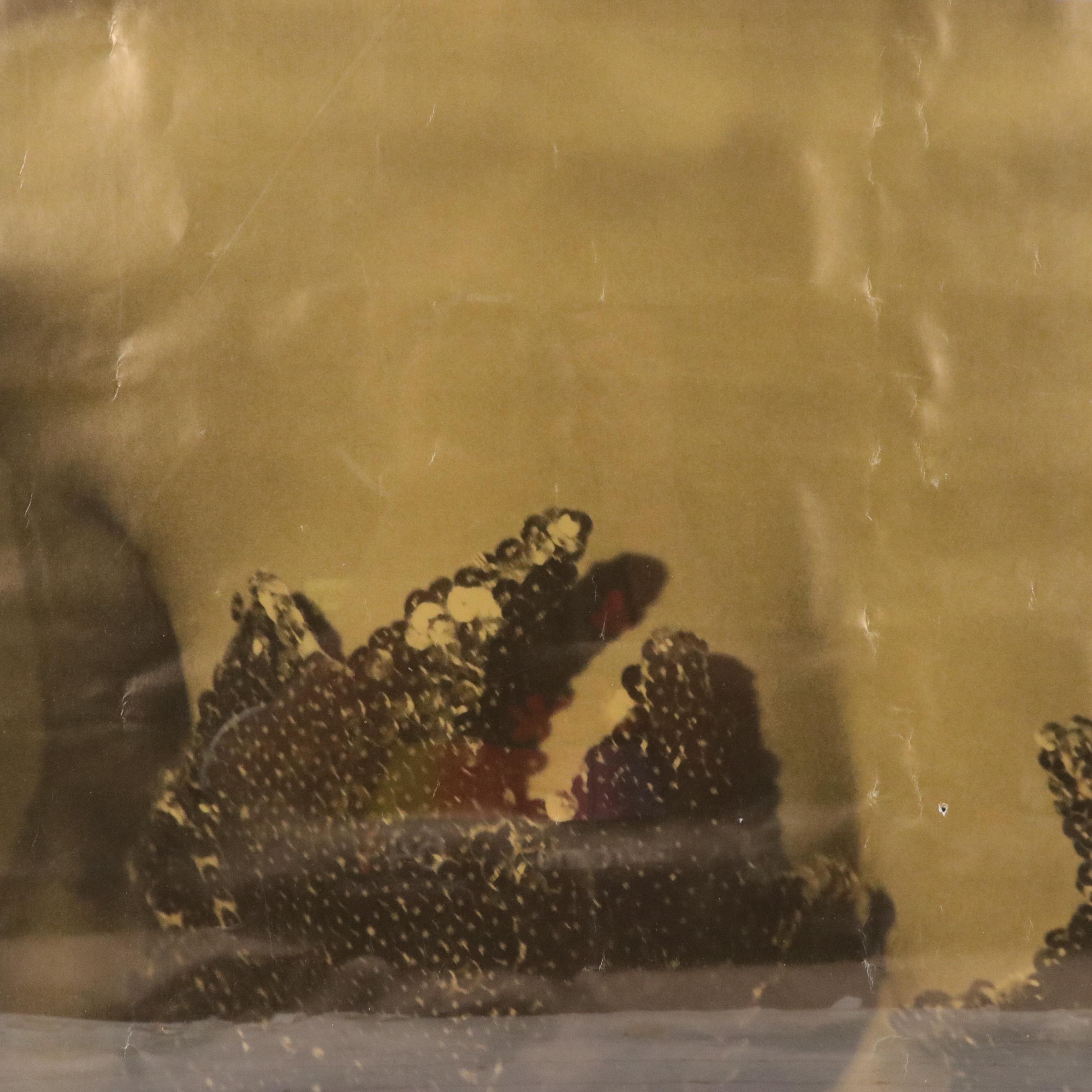 Madonna Concert Posters Including "Madonna - Whose That Girl World Tour 1987"