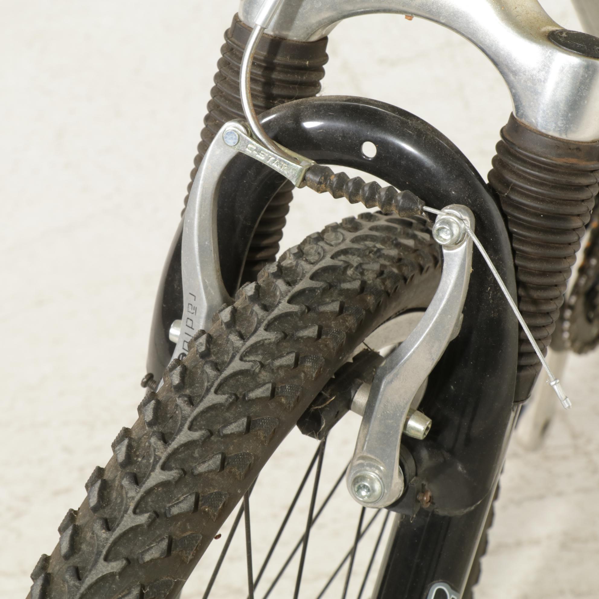 Schwinn Sidewinder Mountain Bike, 21st Century