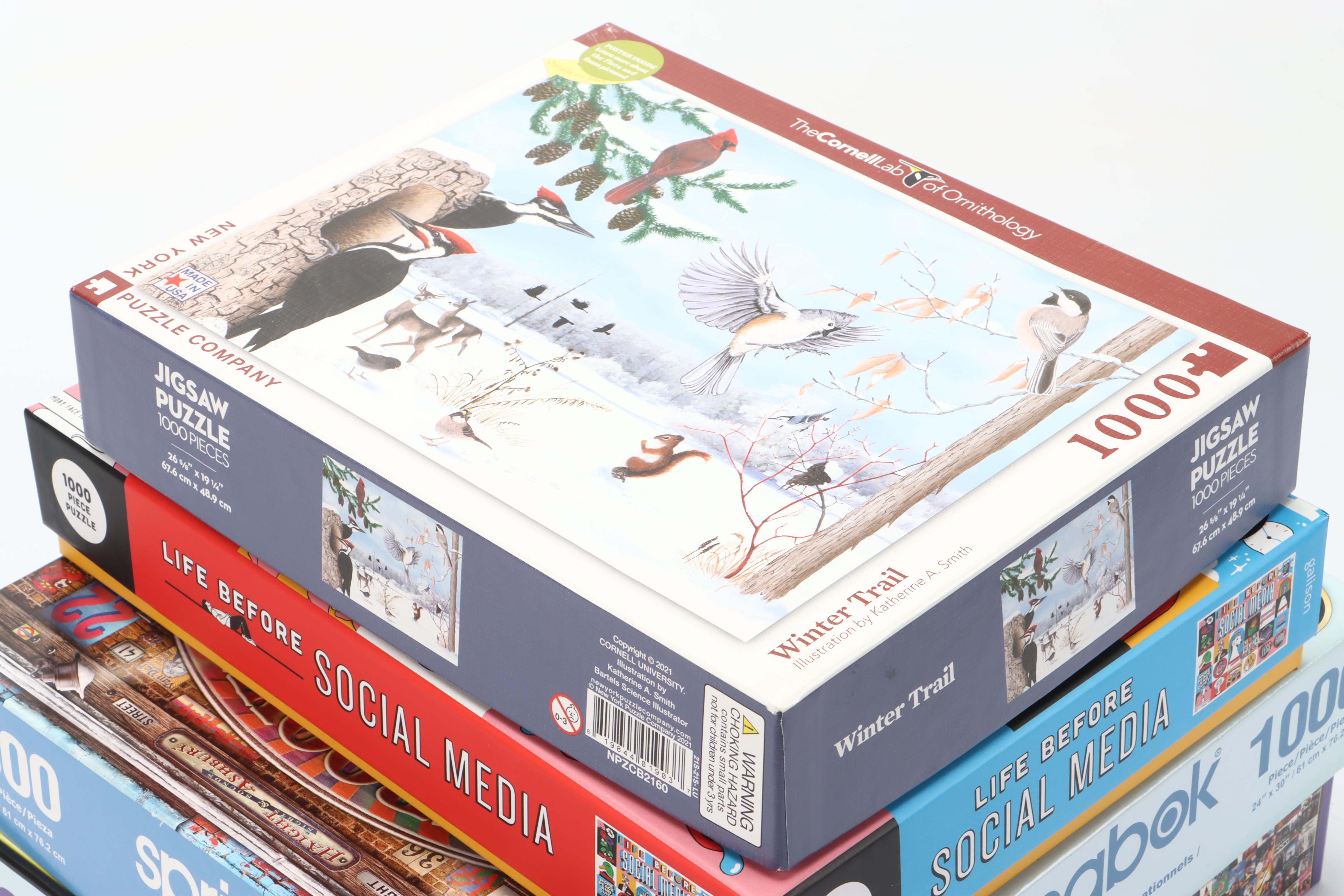 Springbok "Groovy Records" and More Jigsaw Puzzles