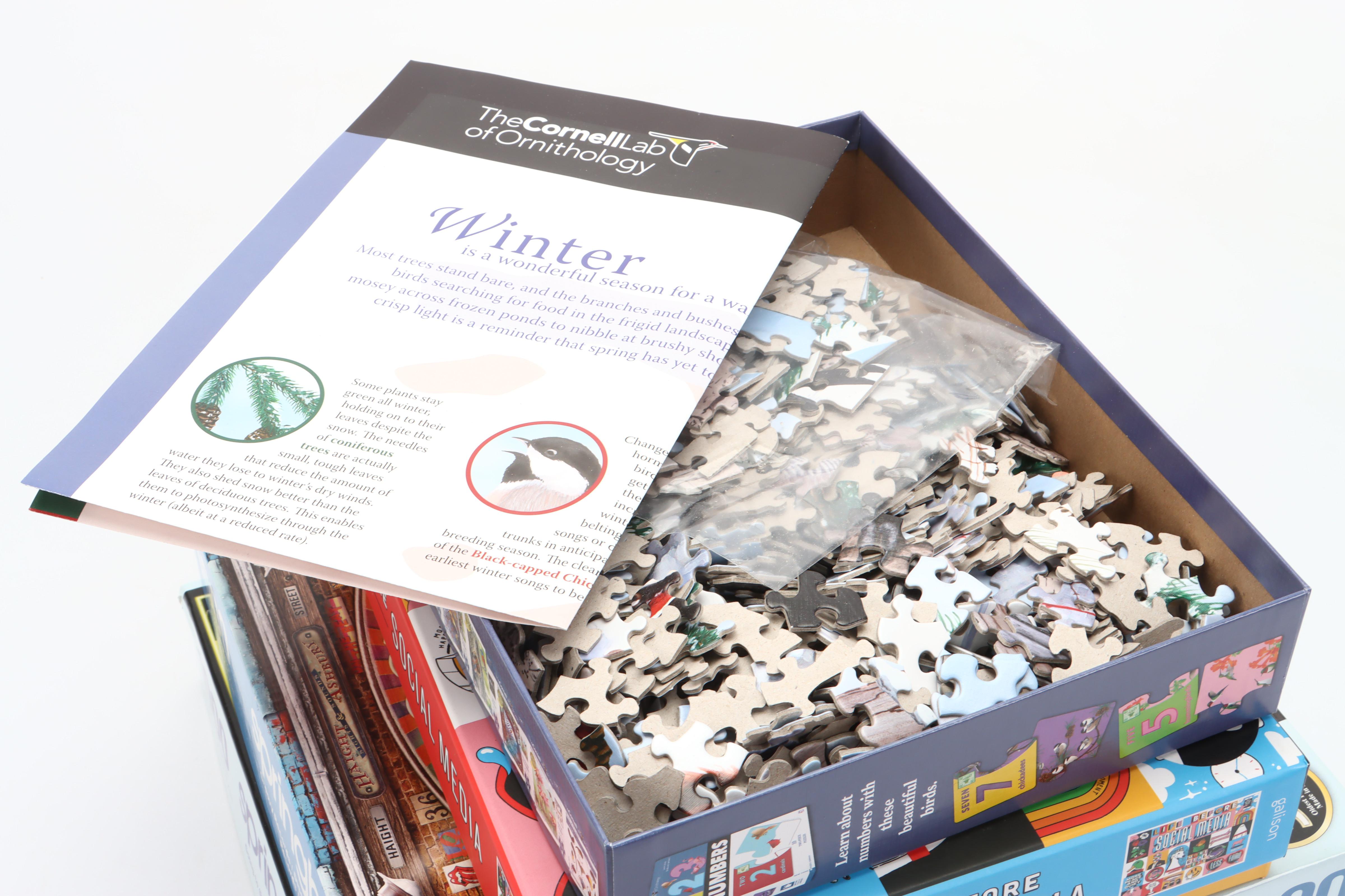 Springbok "Groovy Records" and More Jigsaw Puzzles