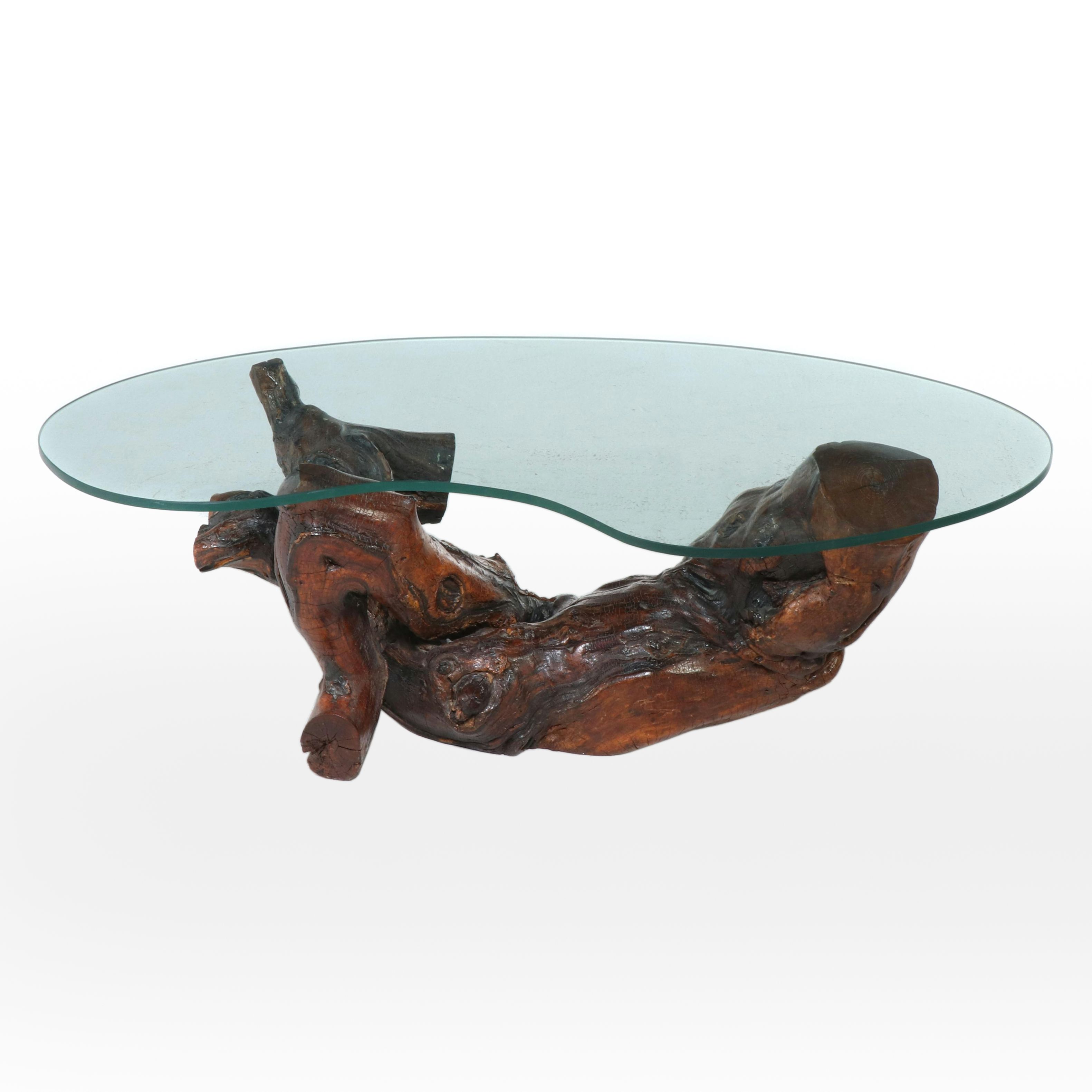 Modernist Style Root and Glass Top Coffee Table
